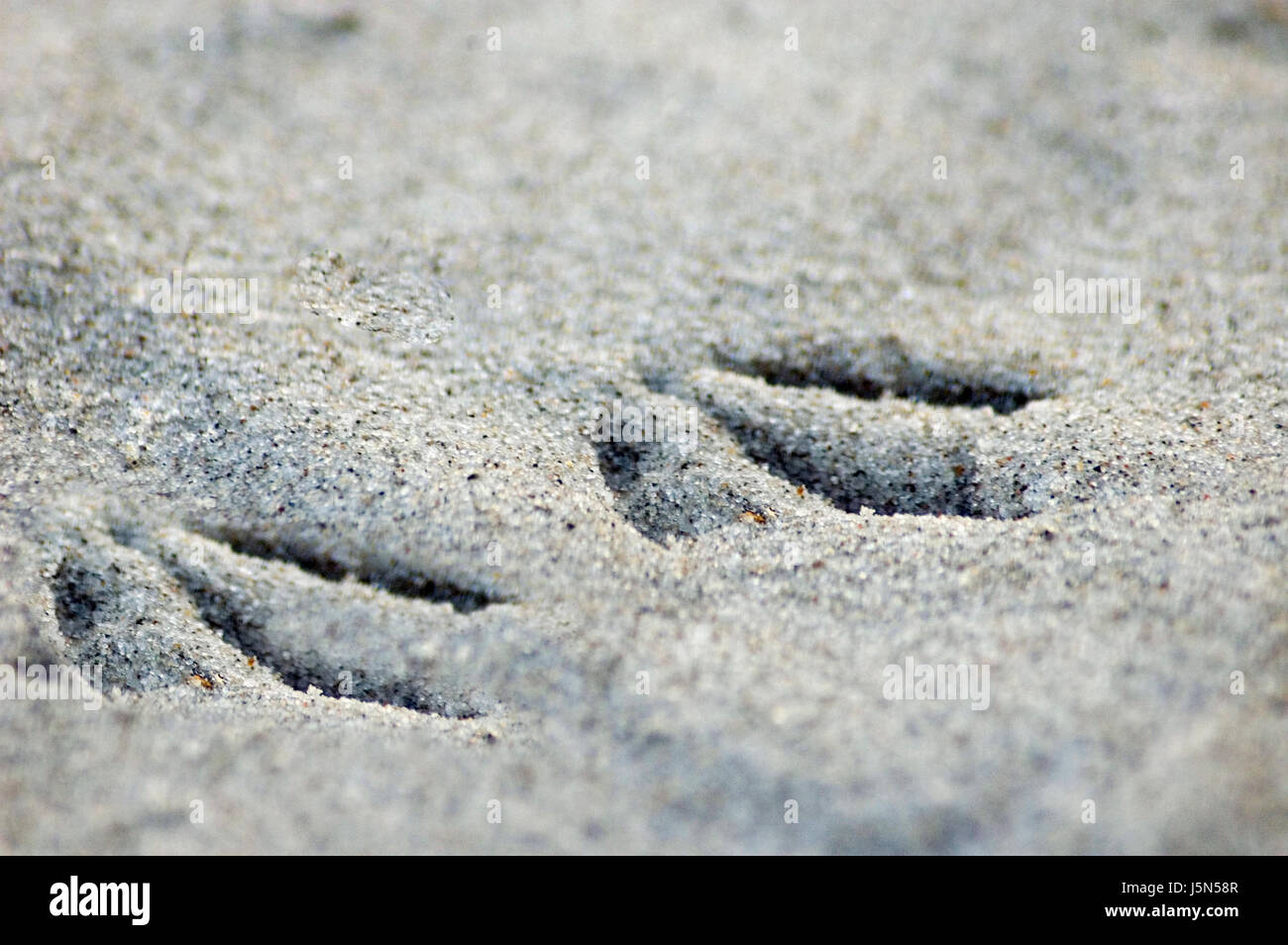 beach footprints Stock Photo
