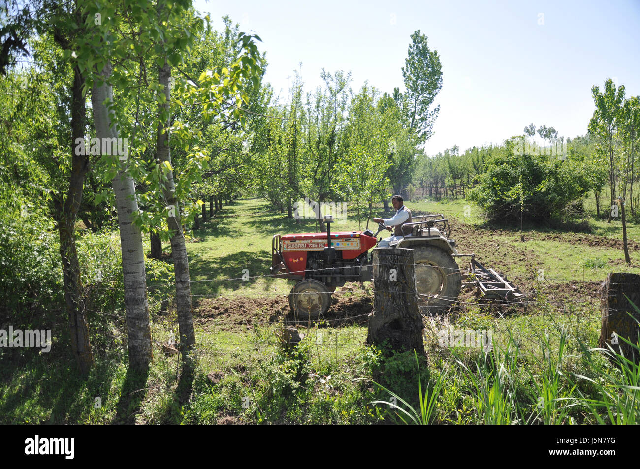 Kashmir, Average farm landholding, Indian Tractor, Saffron crop fails in Kashmir. (Photo Copyright © by Saji Maramon) Stock Photo