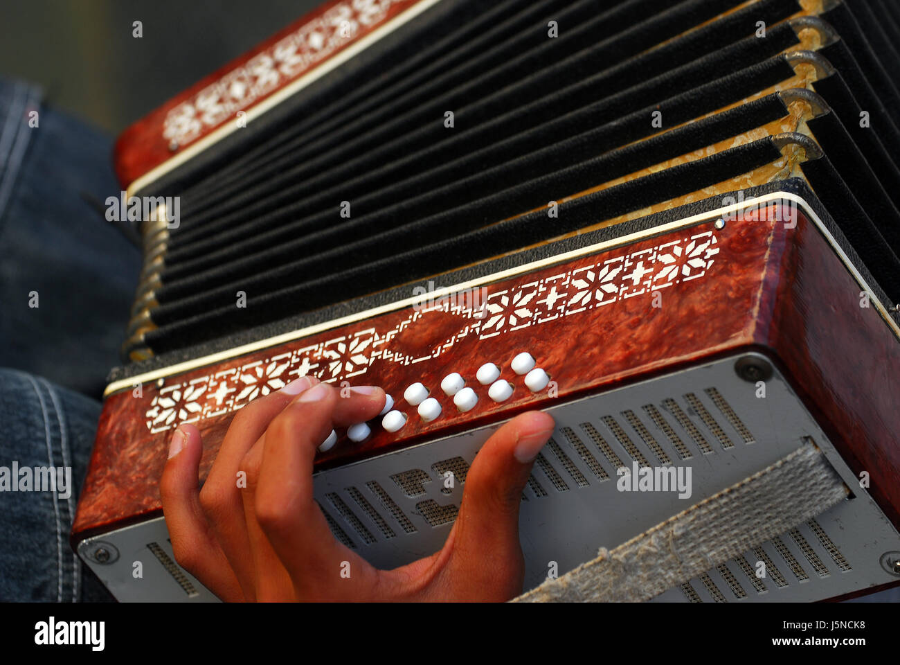 keyboard musical instrument accordion harmonica concertina measure instrument Stock Photo
