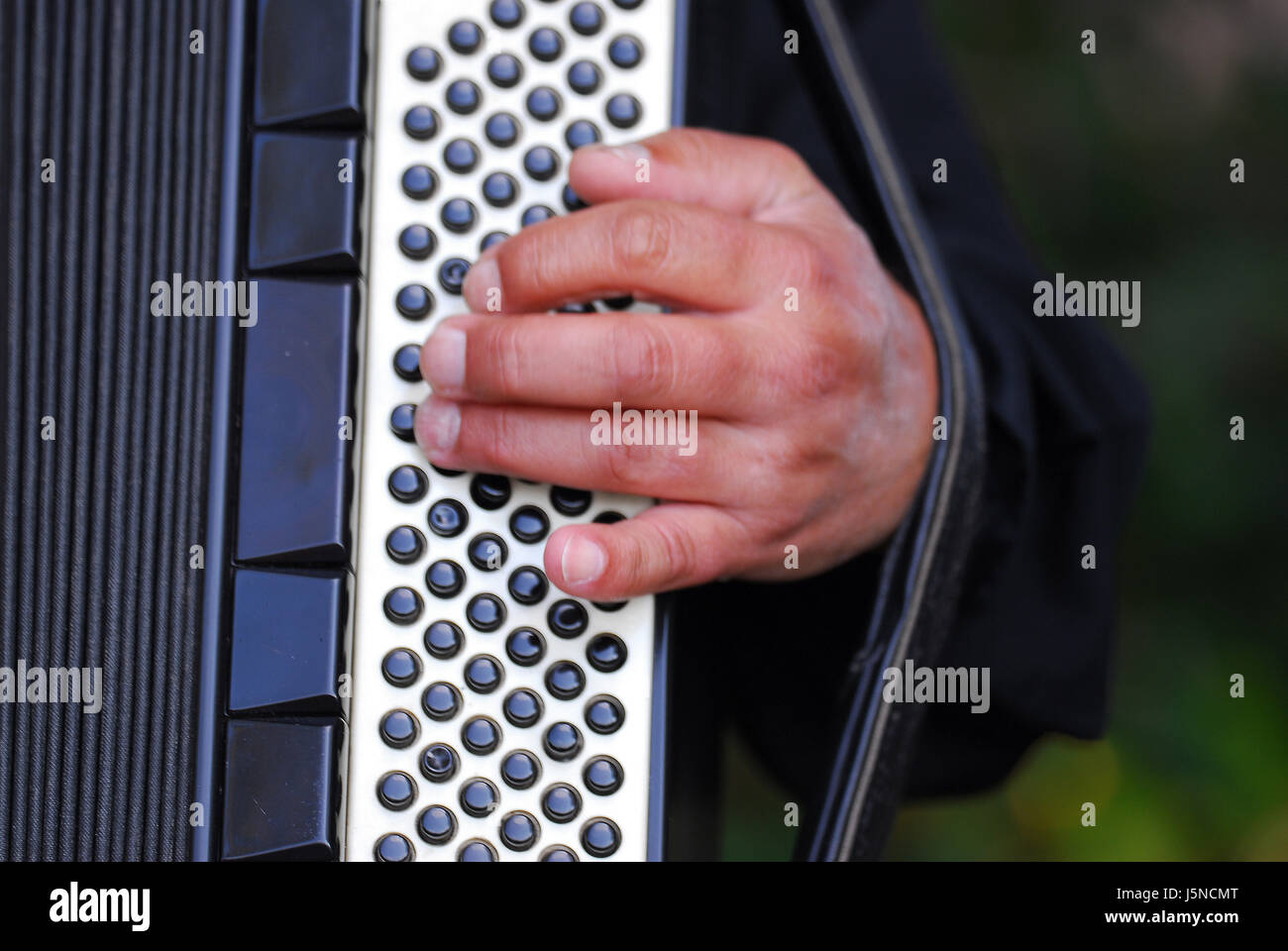 concertina Stock Photo