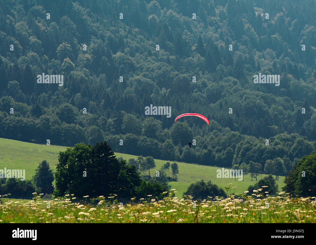 paraglider in the mountains Stock Photo