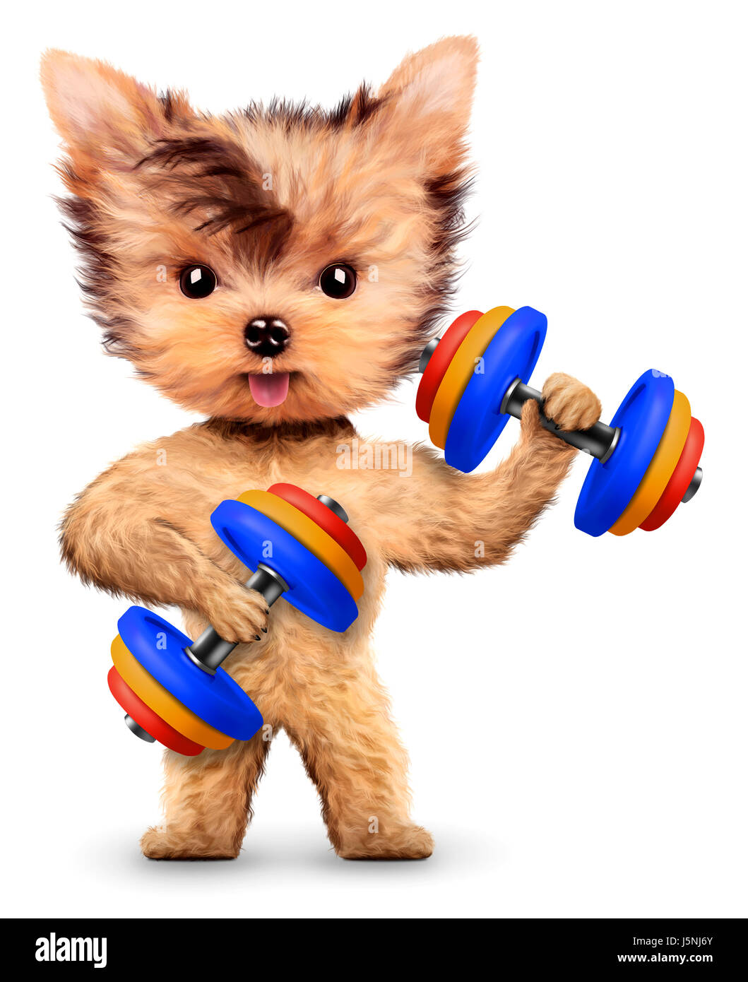 Funny dog training with dumbbell in sport gym. Concept of sport and fitness. Realistic 3D illustration. Stock Photo