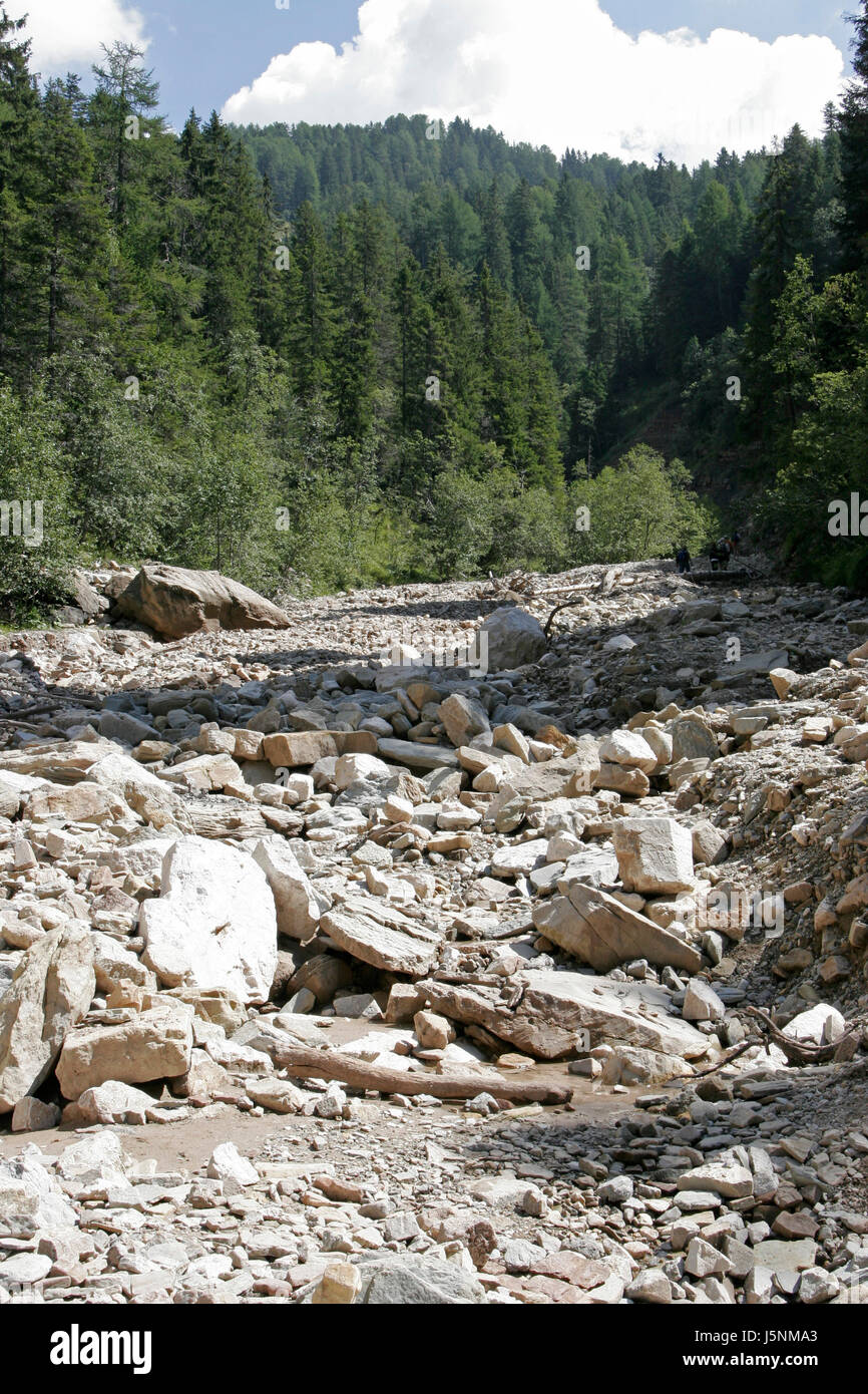 tree trees stone dolomites alps stream rock valley ravine tyrol clammy geology Stock Photo
