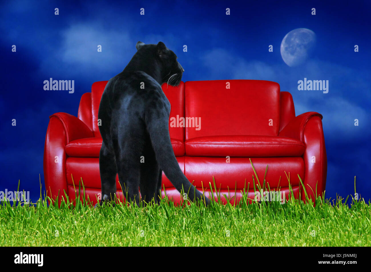 Rote Couch High Resolution Stock Photography And Images Alamy