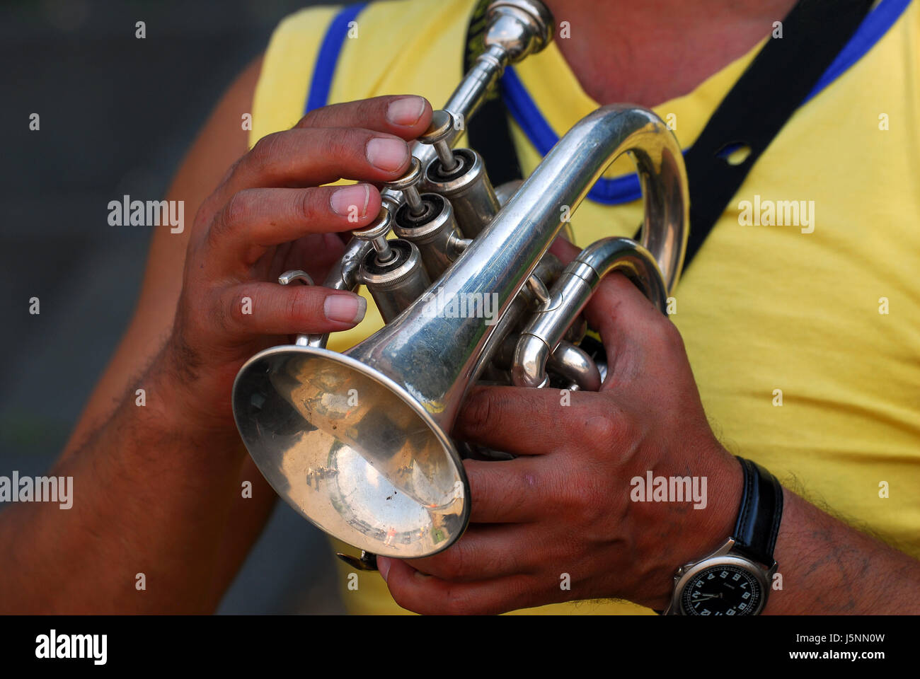 musical instrument musical instruments musician trumpet wind instrument wind Stock Photo Alamy