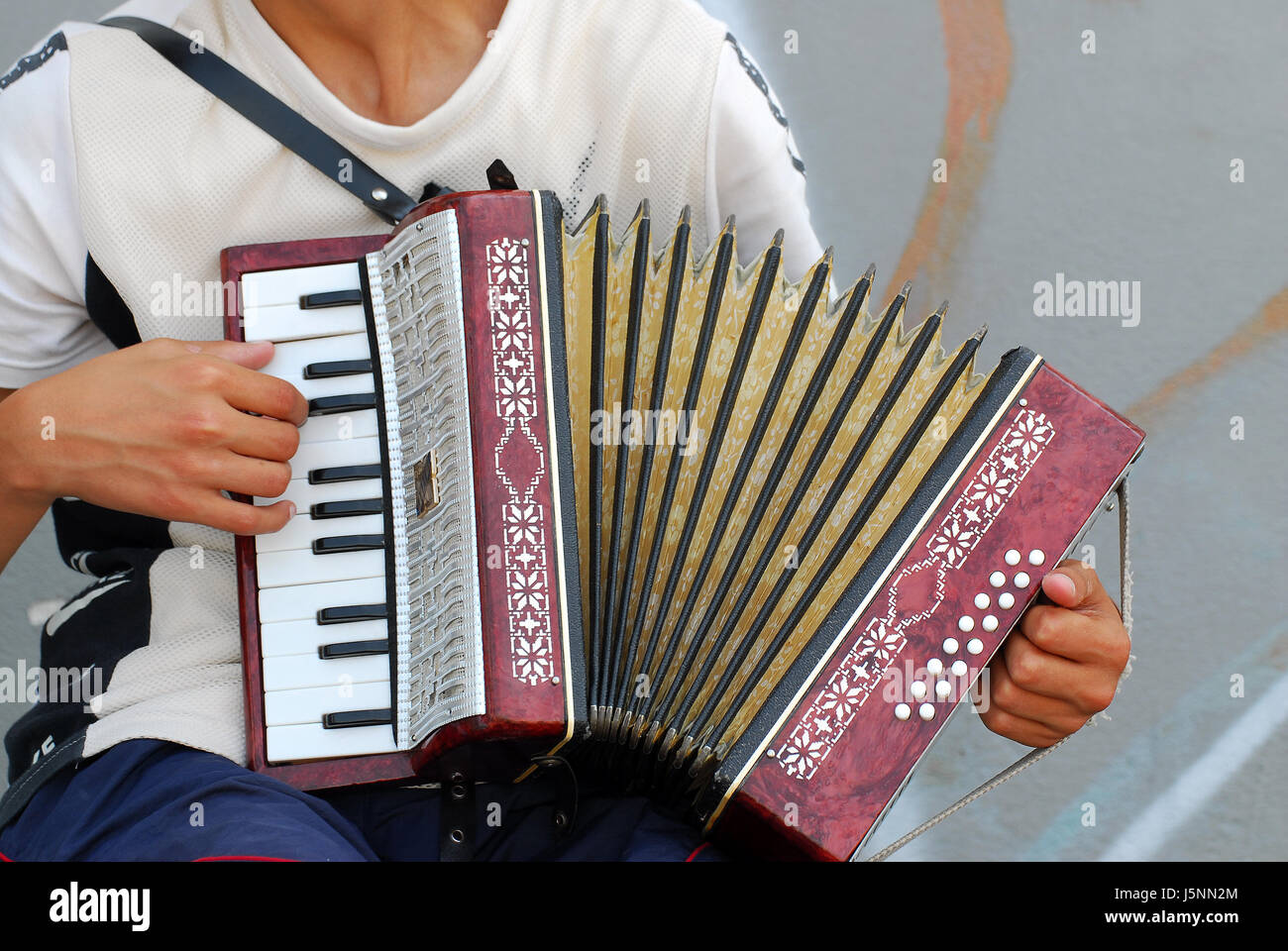 keyboard musical instrument accordion harmonica concertina measure  instrument Stock Photo - Alamy