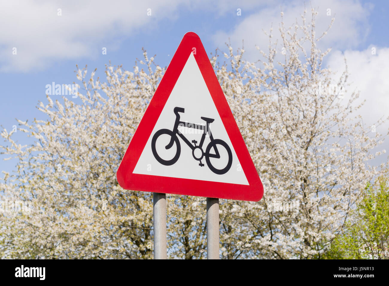 Cycling route sign with blue skies and flower blossoms in the background a useful concept for healthy clean or sustainable transport themes Stock Photo