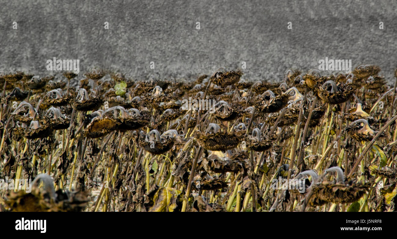 time is up Stock Photo Alamy