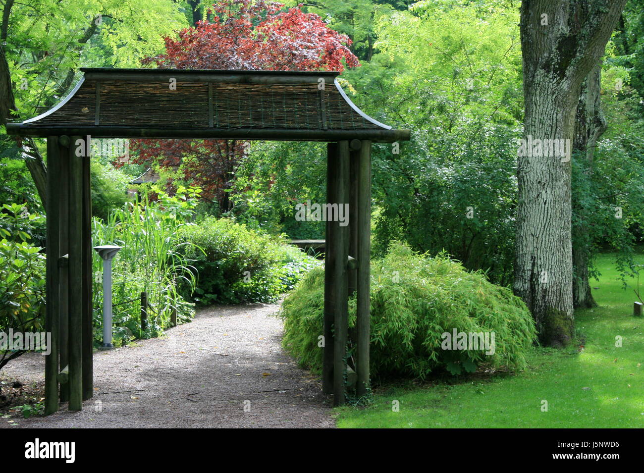 tree park garden green goal passage gate archgway gantry entrance oasis