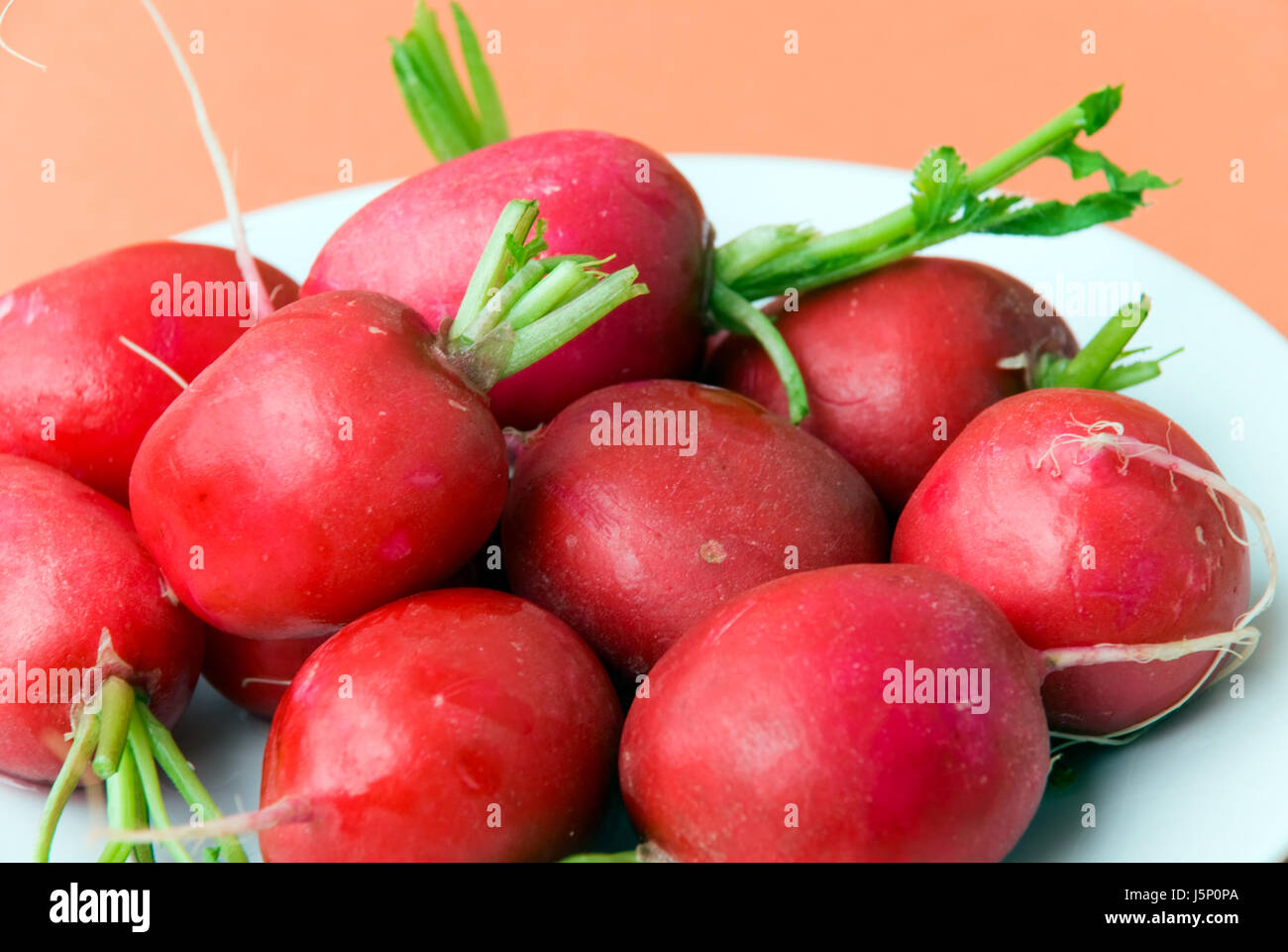 radish - raw Stock Photo - Alamy
