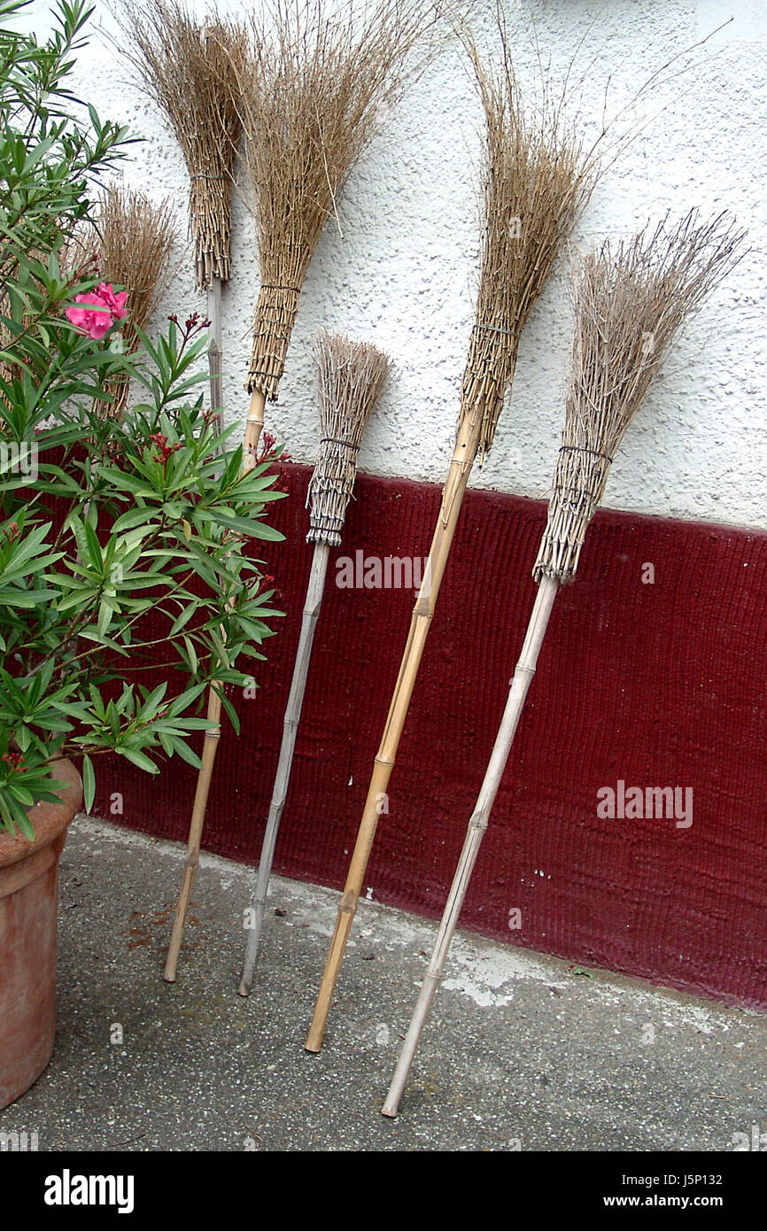 still life garden purify row yard gardens broom birch-broom sweep clean Stock Photo