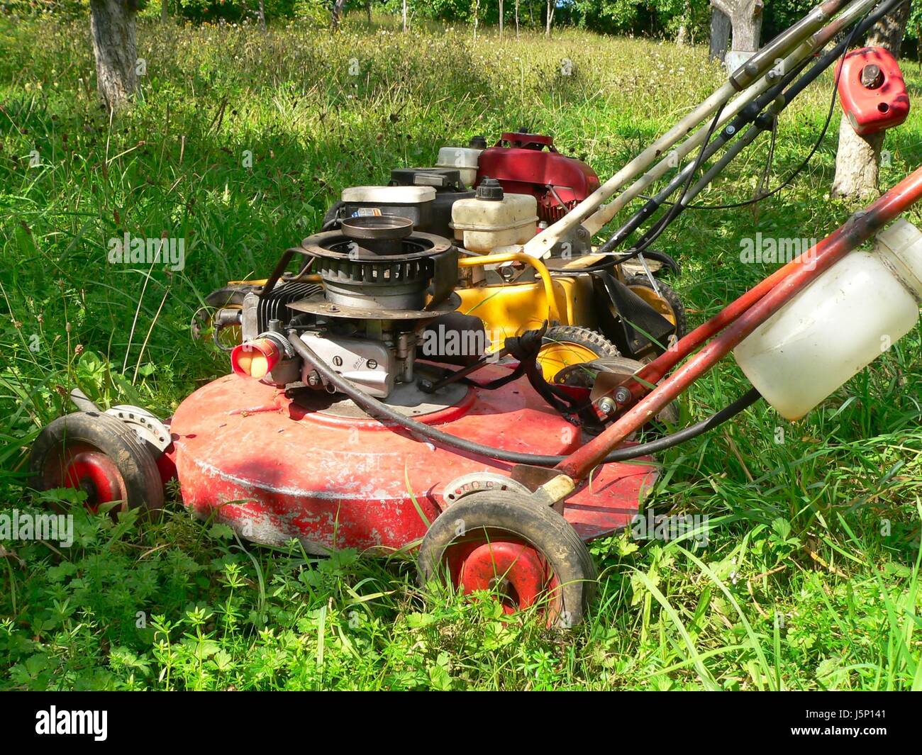 tree trees garden wheel tackle engine drive motor green wheels hose gardening Stock Photo Alamy