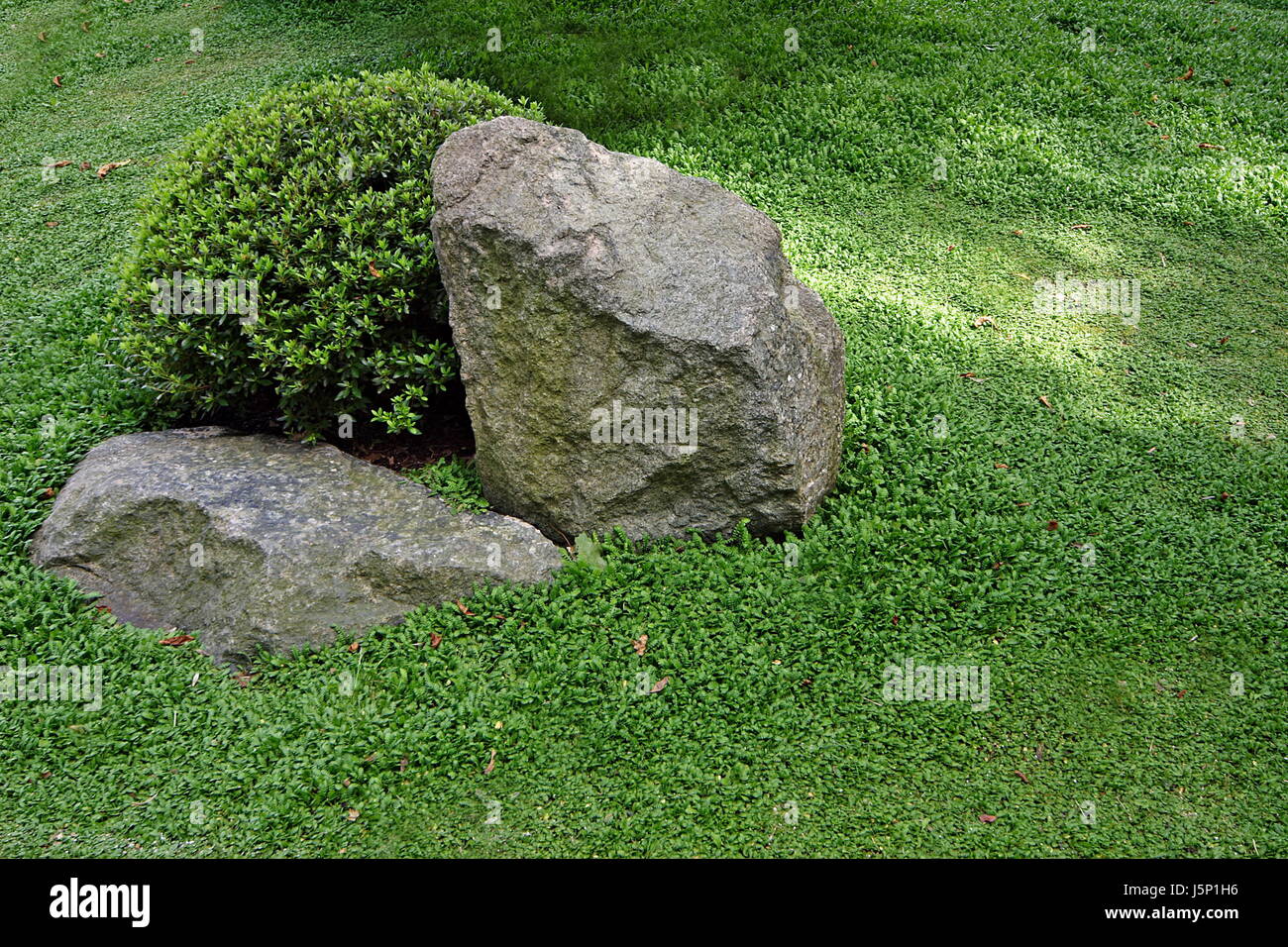 park green box-tree rock asiatic japan zen garden mineral stones ...
