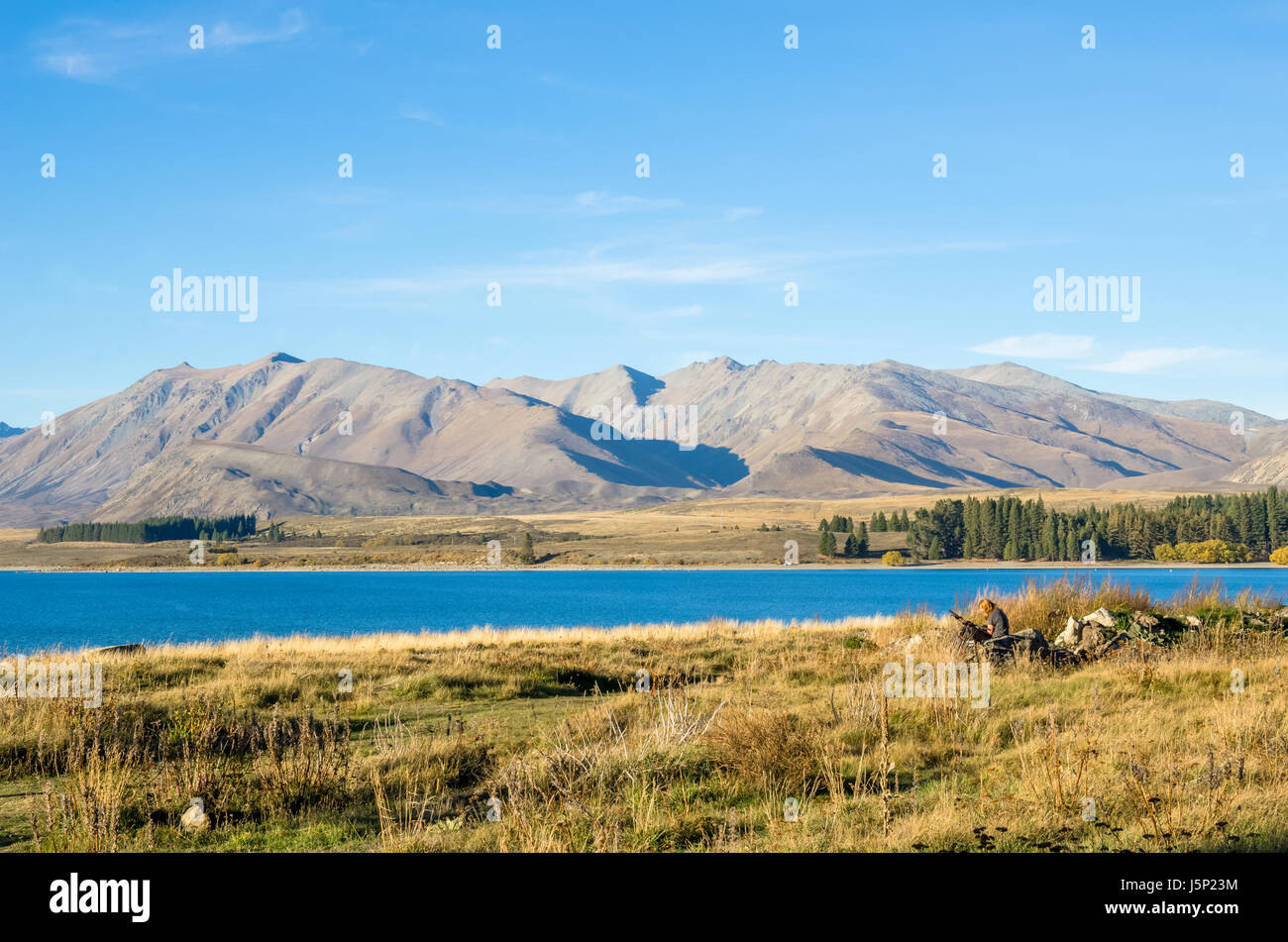 Beautiful landscape Lake Tekapo in New Zealand Stock Photo - Alamy
