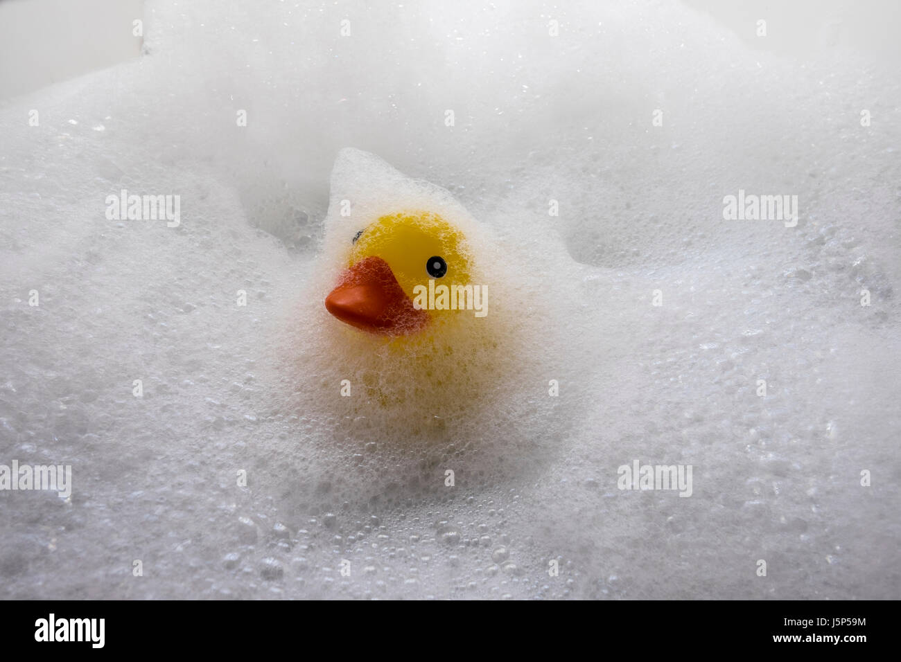 Bath time, a plastic duck in a foam bath. Stock Photo