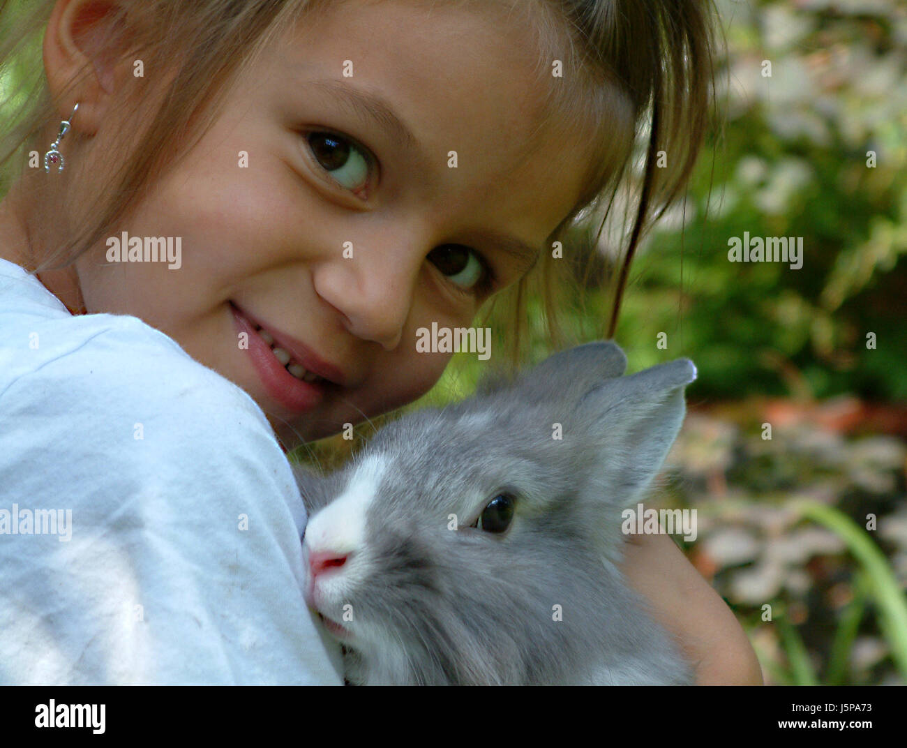 friendship game tournament play playing plays played animal pet rabbit ...