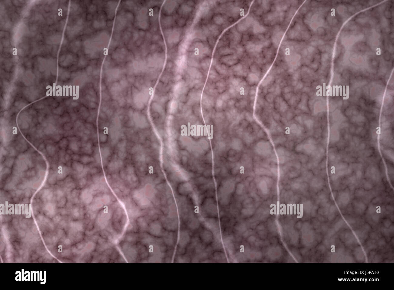 Marble Vein High Resolution Stock Photography and Images - Alamy
