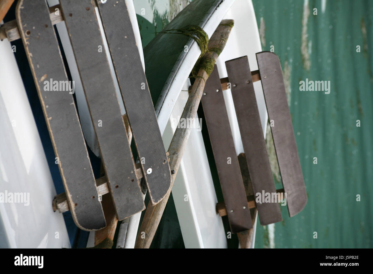 sport sports waters green vehicle aquatic sport rowing boat oar row