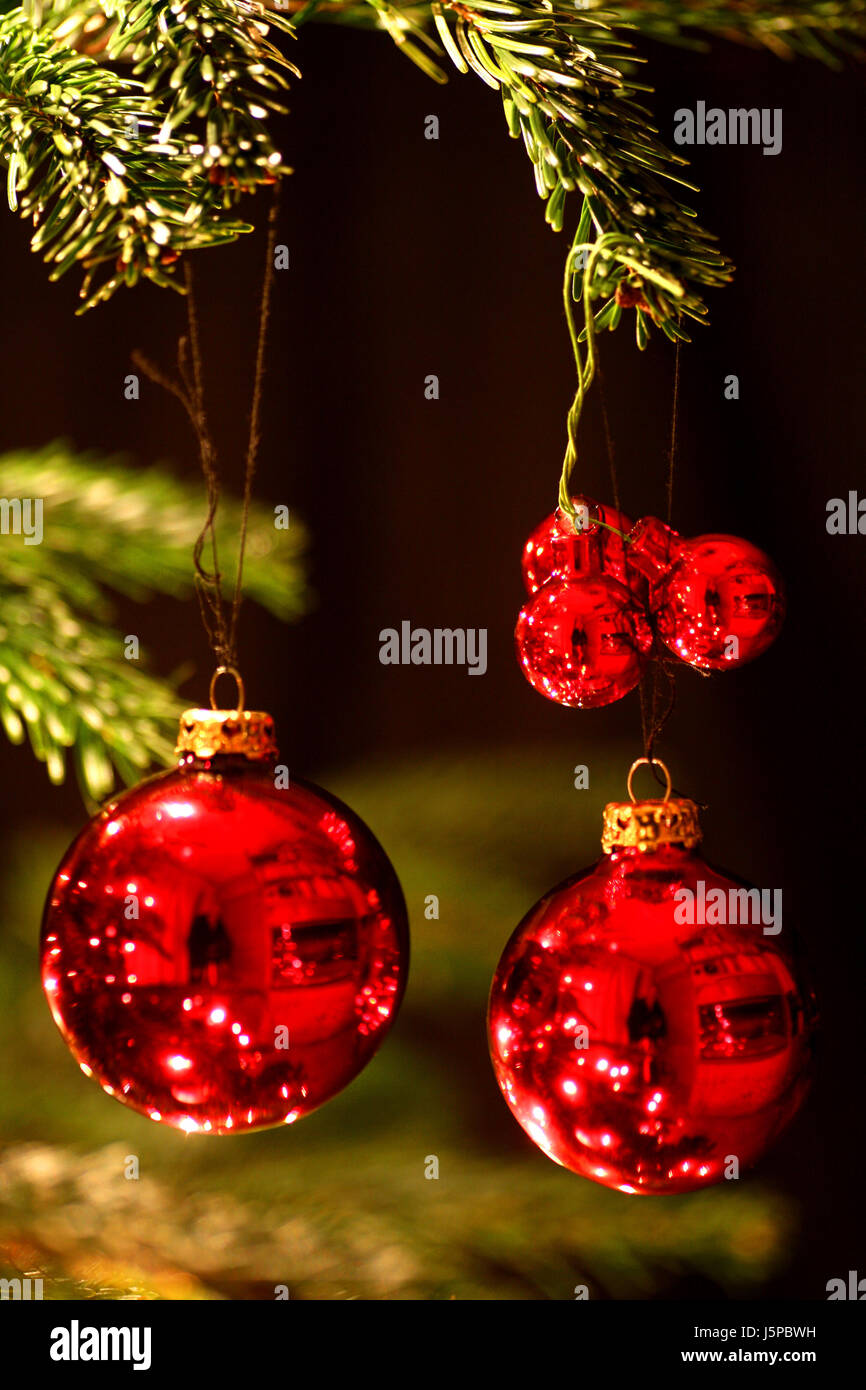 fir tree mirror christmas tree yule christmas ball ball christmas xmas