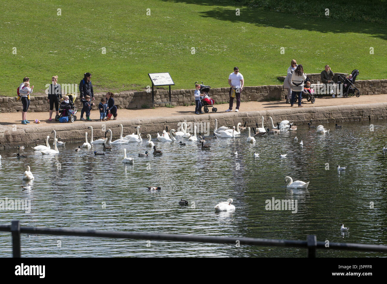 Leeds, UK. 18th May, 2017. Children feeding the ducks and swans at Roundhay Park in Leeds on 18 May 2017.  A bright and sunny day brings welcome relief from the clouds and heavy rain earlier in the week. Credit: James Copeland/Alamy Live News Stock Photo
