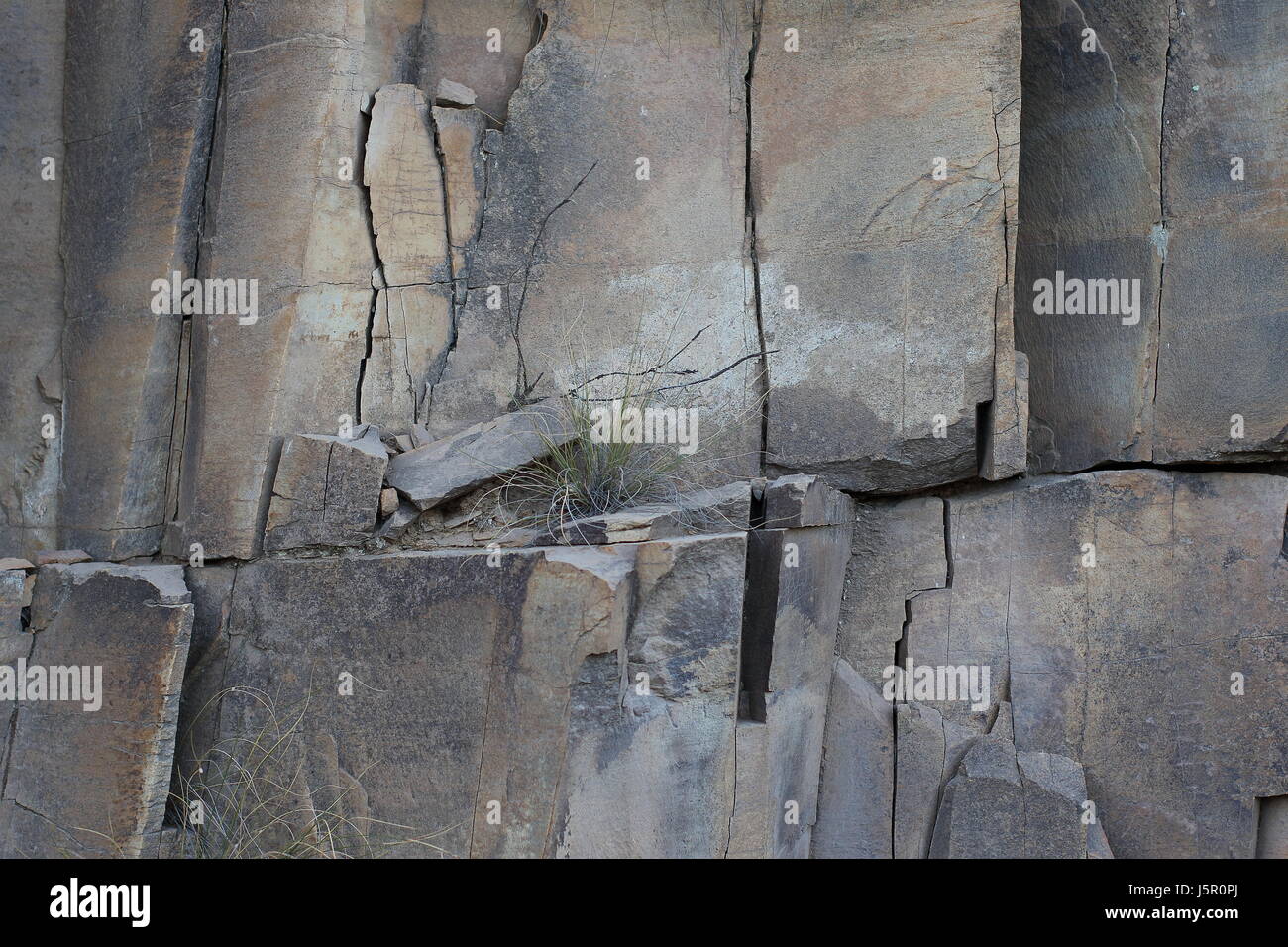Unwavering High Resolution Stock Photography and Images - Alamy