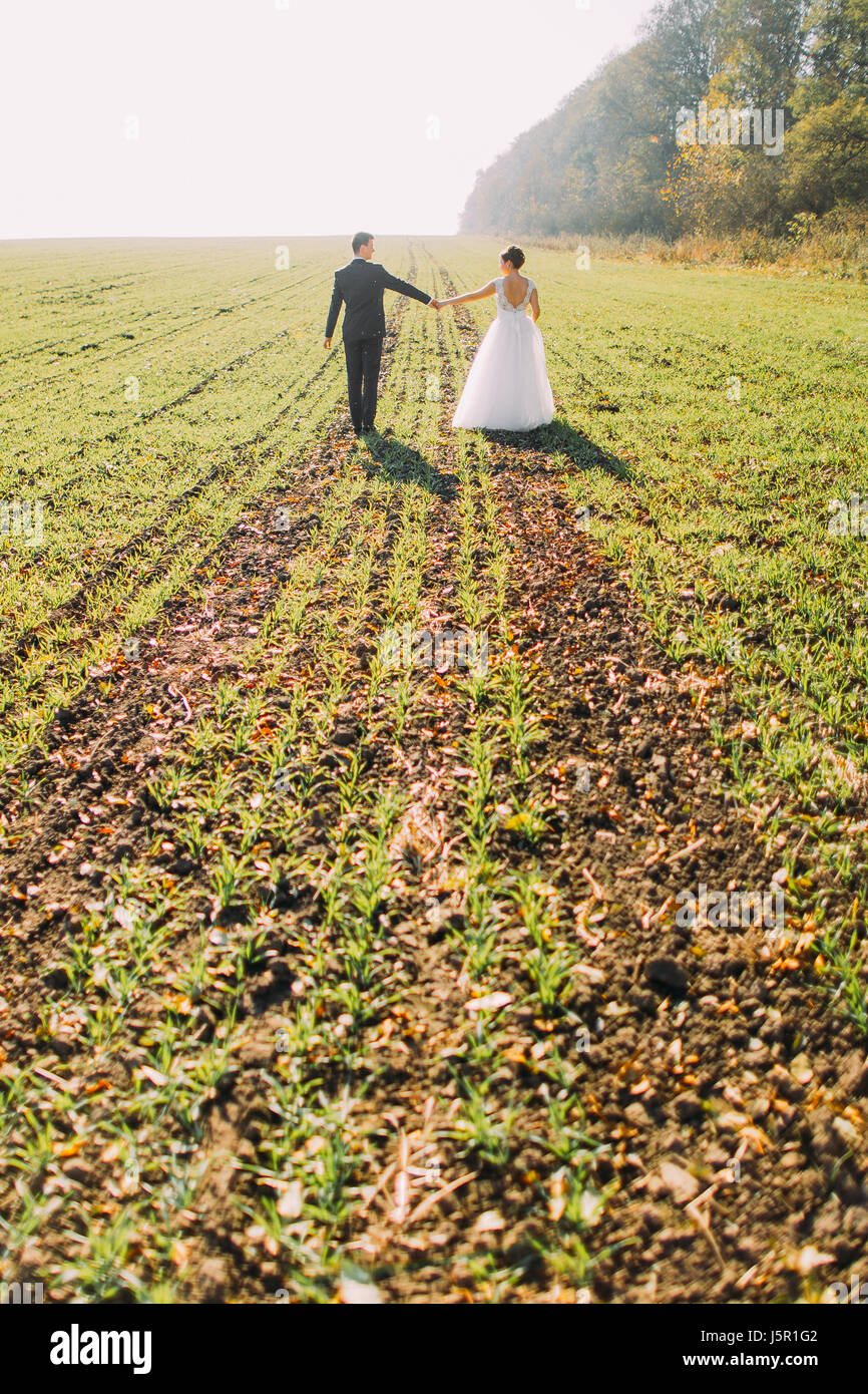 The back view of the newlyweds holding hands and walking in the green ...