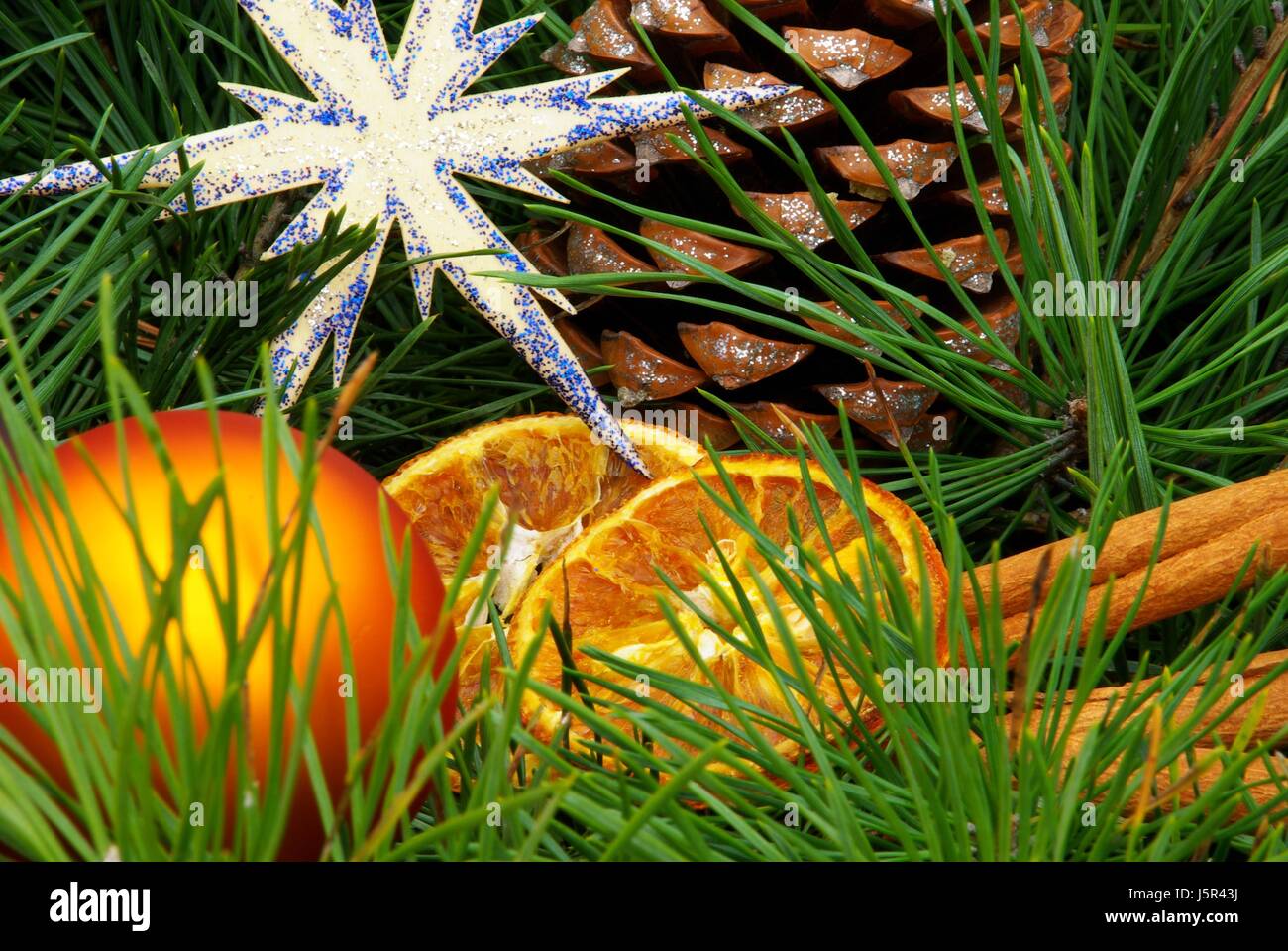 advent jewelry jewellery decoration tap fir cone christmas decorations