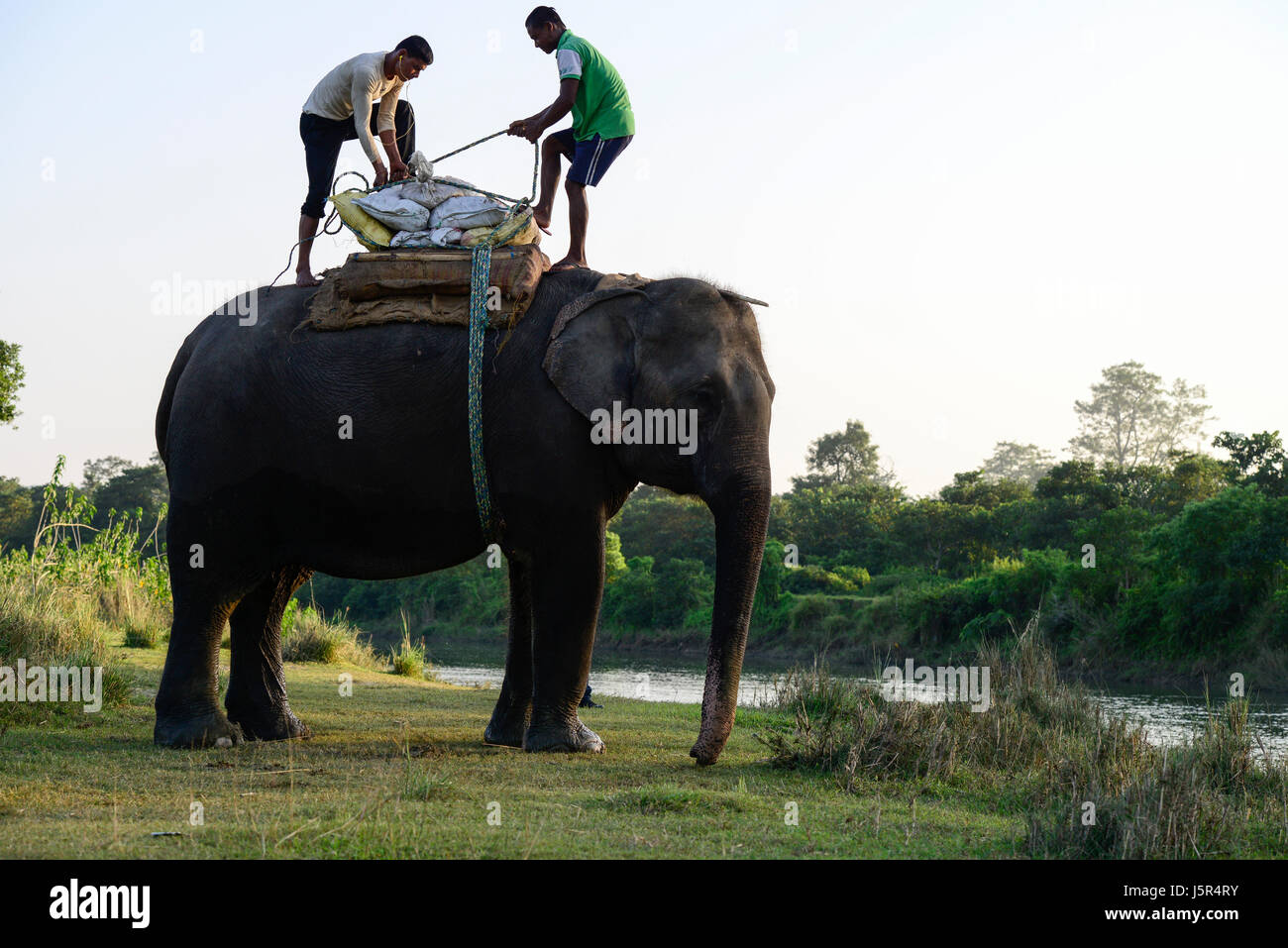 NEPAL, Terai, Chitwan Nationalpark, village Sauraha, Bhude Rapti River, Elephant breeding Center