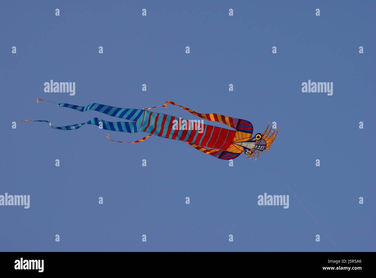 object spare time free time leisure leisure time sport sports coloured