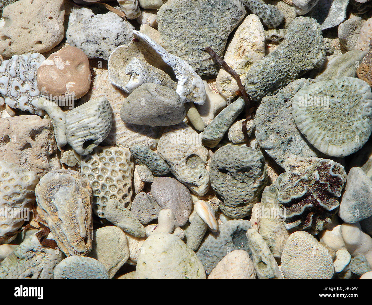 beach seaside the beach seashore coast petrified aground cuba structure ...