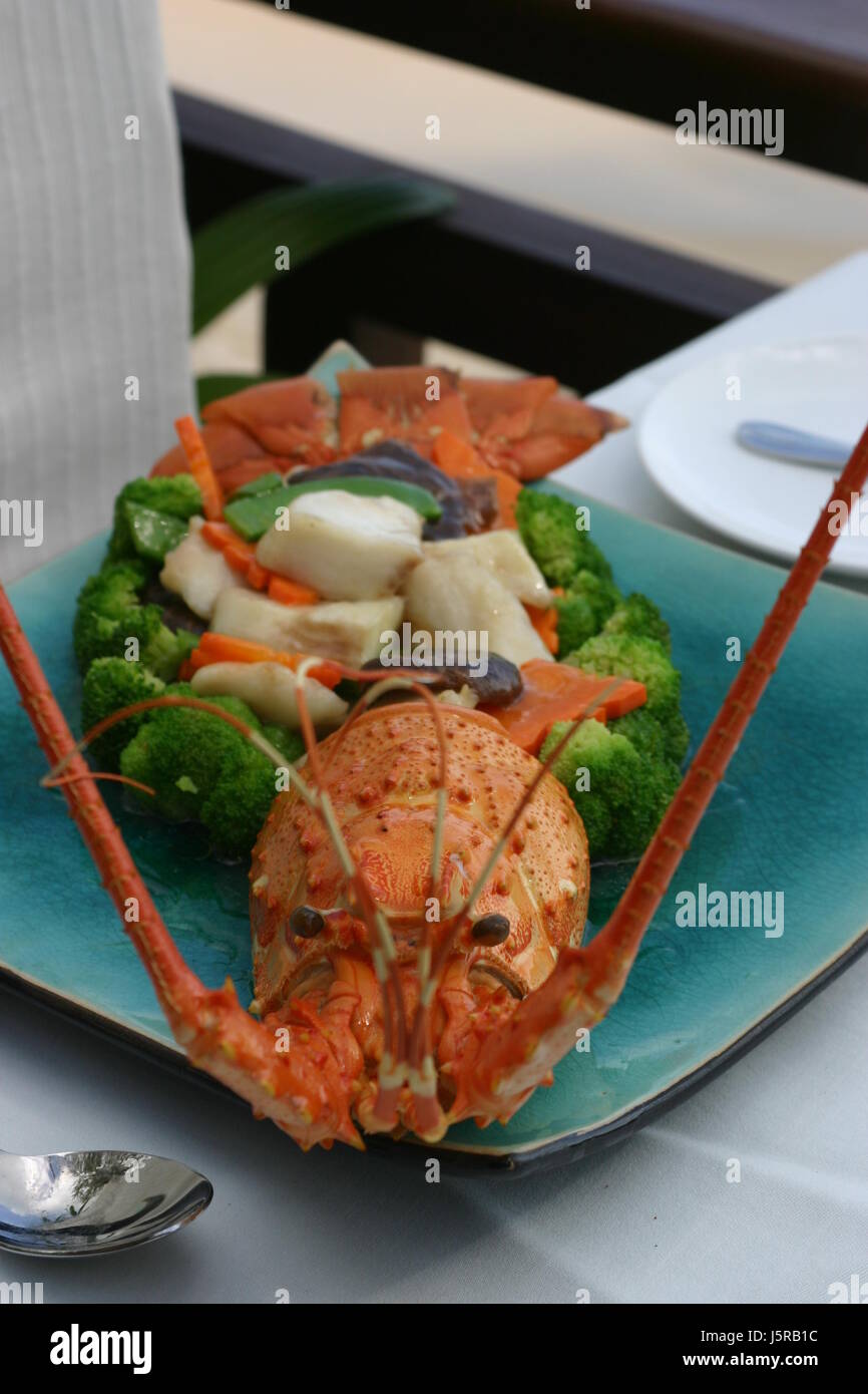 restaurant eyes look glancing see view looking peeking looking at plate lobster Stock Photo