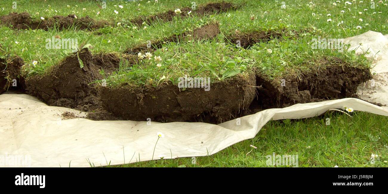 spare time free time leisure leisure time garden plant green plaster root shape Stock Photo