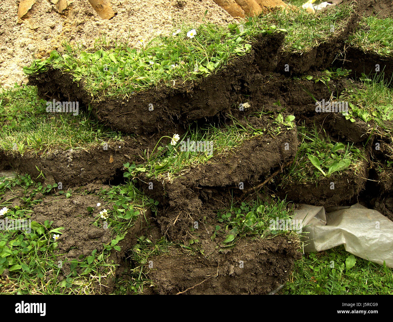 spare time free time leisure leisure time garden plant green plaster root shape Stock Photo