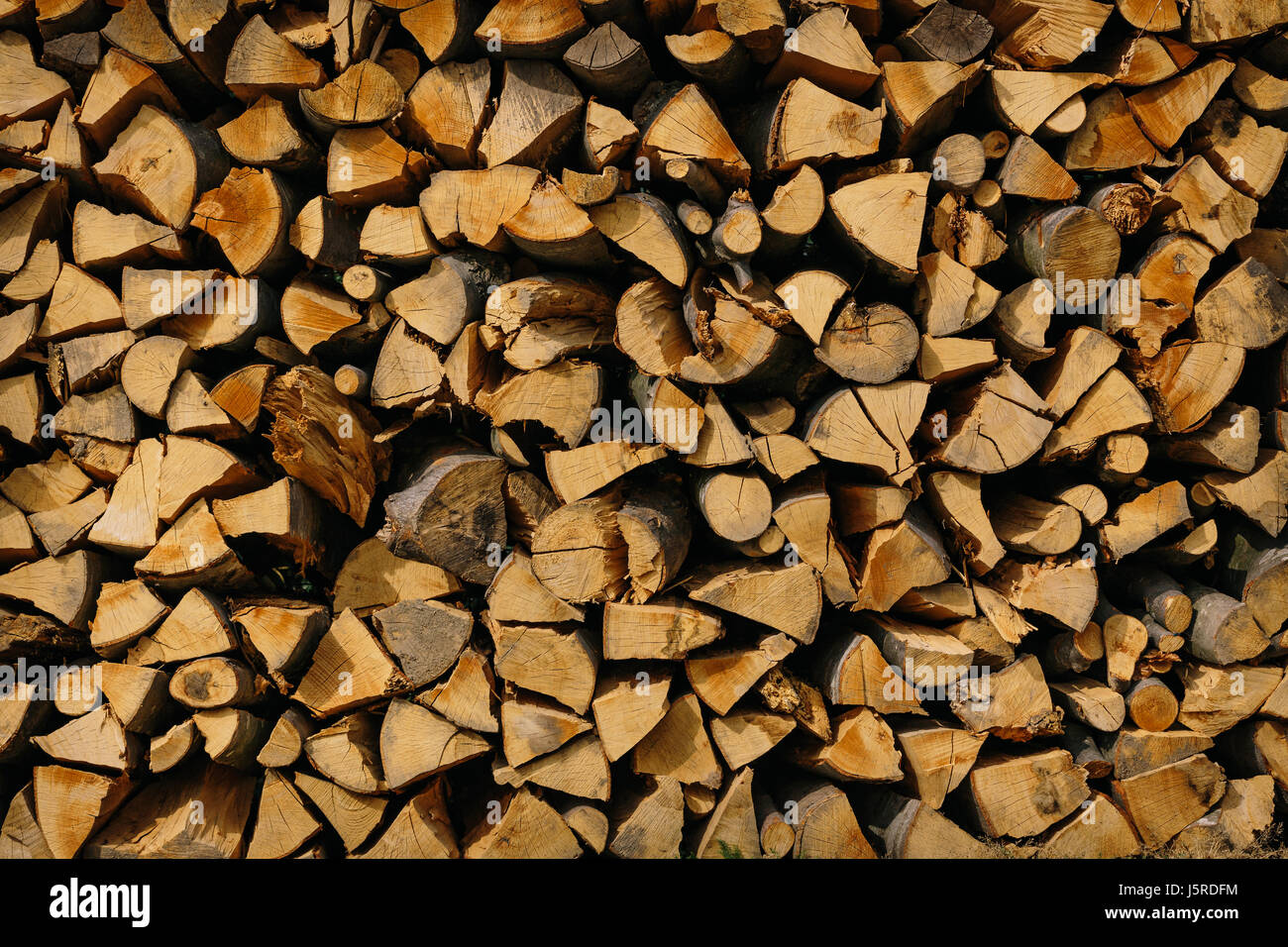 Wood cut in pieces Stock Photo