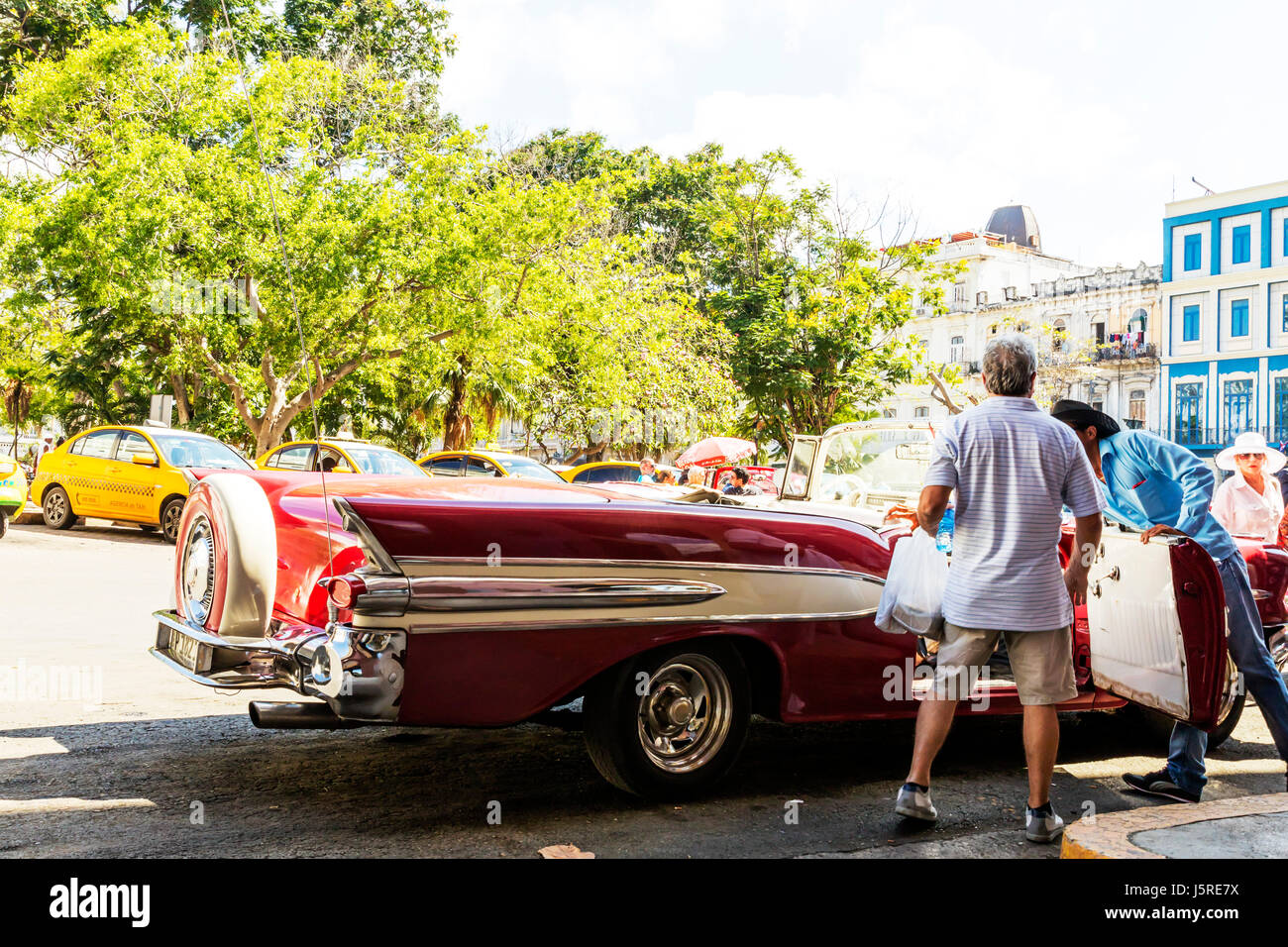 Getting in old classic car in Havana Cuba, Cuban classic car, driver