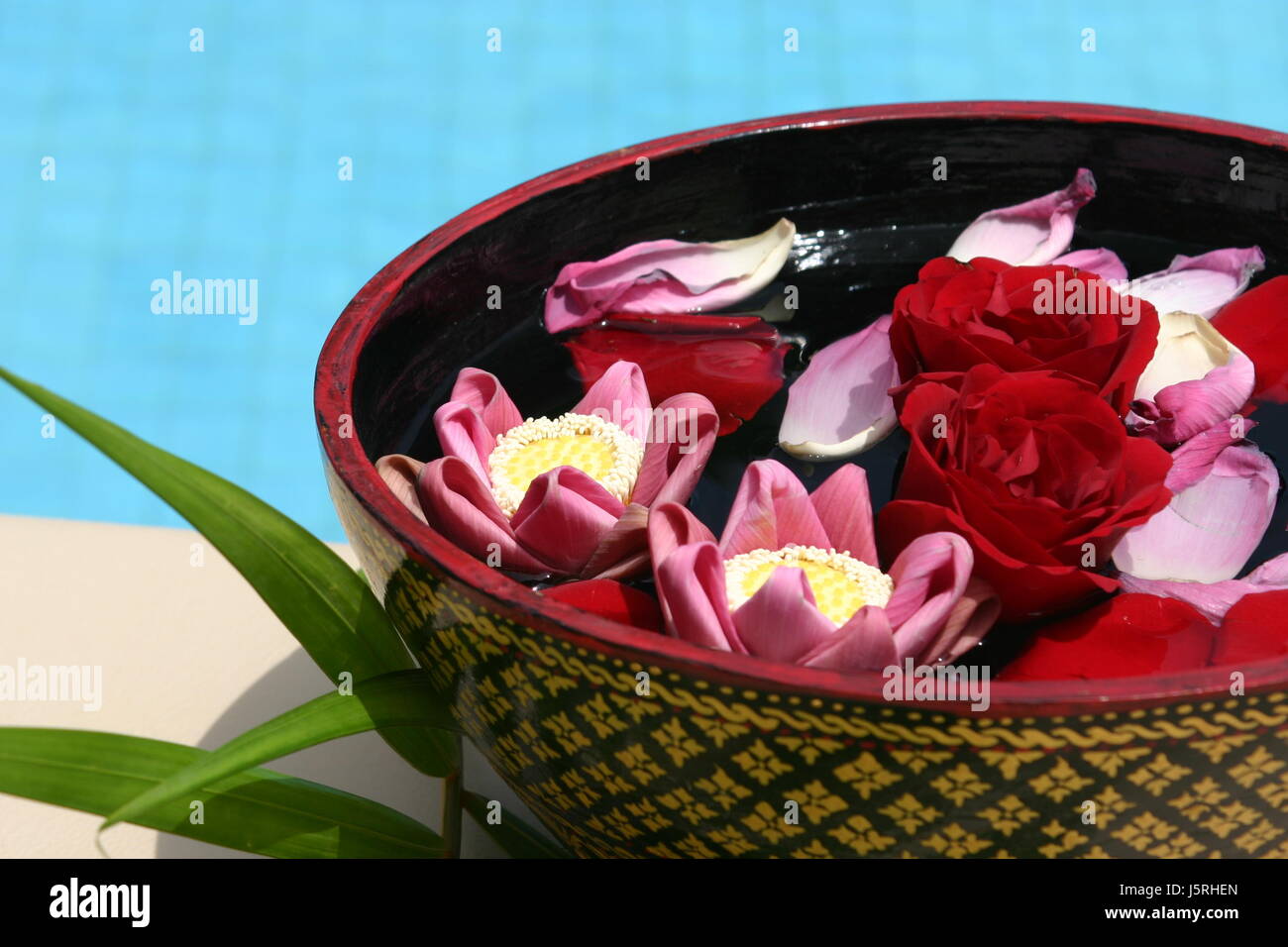 flower bath Stock Photo