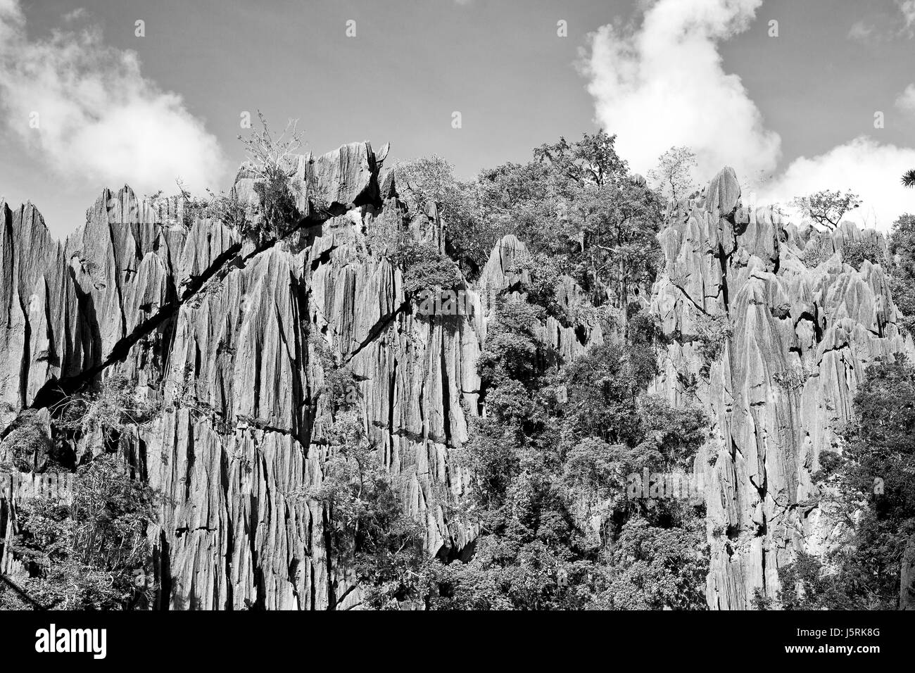 blur in philippines view from a boat of  palm cliff beach and rock from pacific ocean Stock Photo