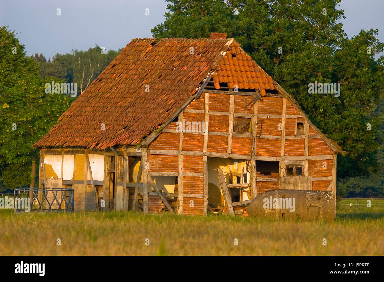 tree trees beam ailing frame-work hovel barn rotten meadow alone lonely ...