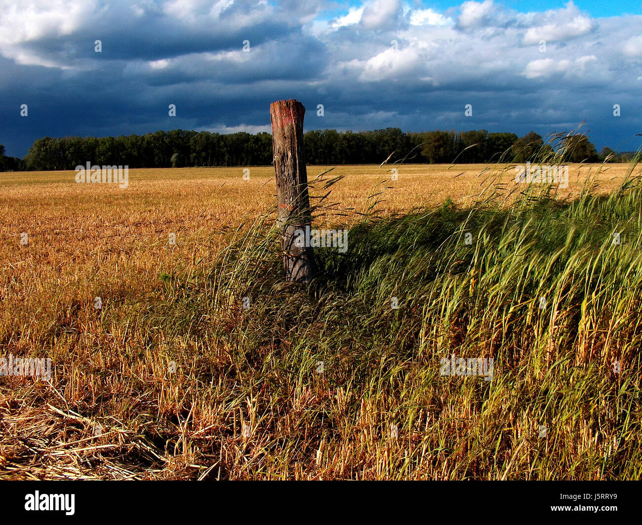 agrarian field acre agrarian economy field marking land realty ground feldmarke Stock Photo
