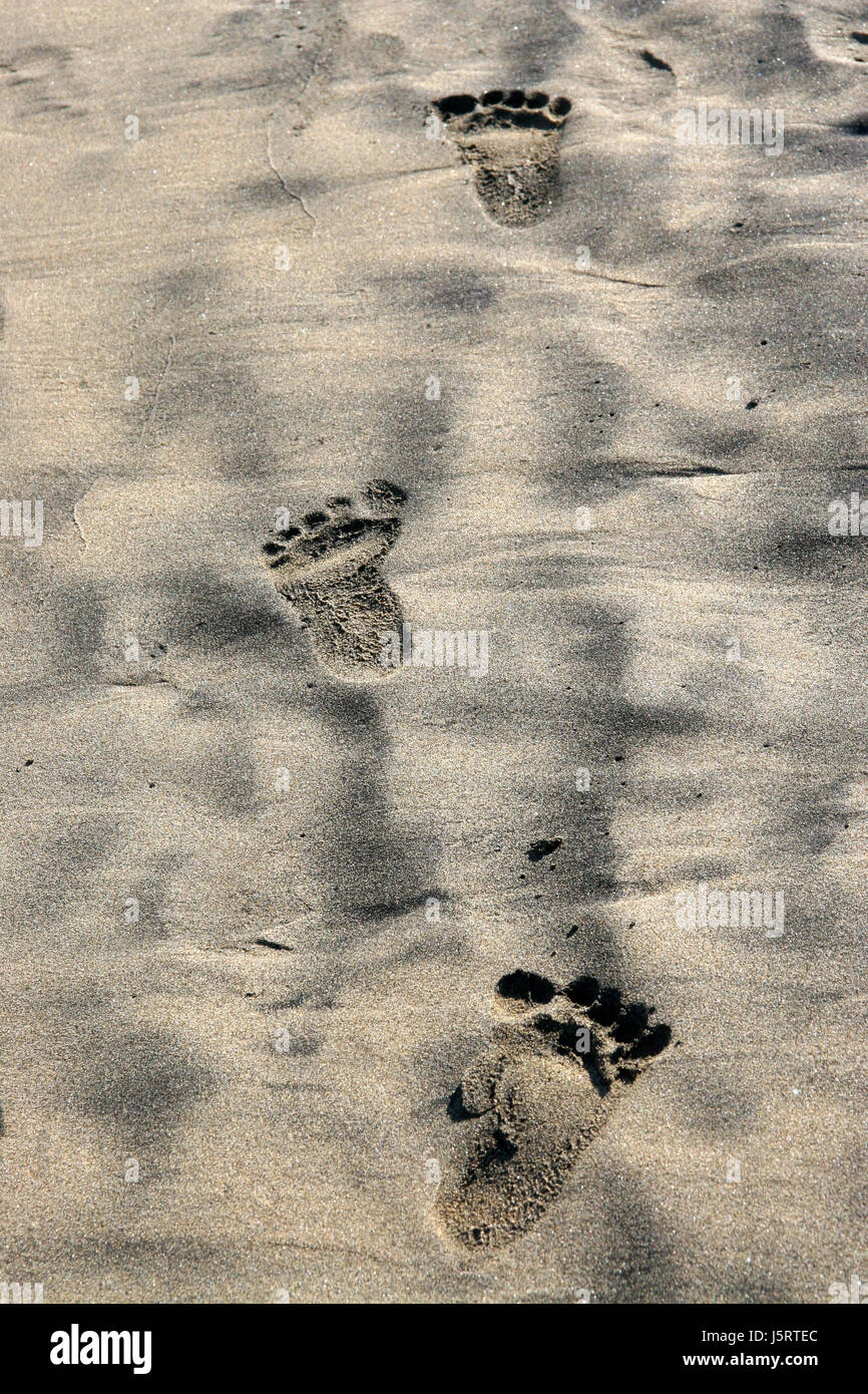 beach seaside the beach seashore sense foot feet barefoot on the way relief Stock Photo