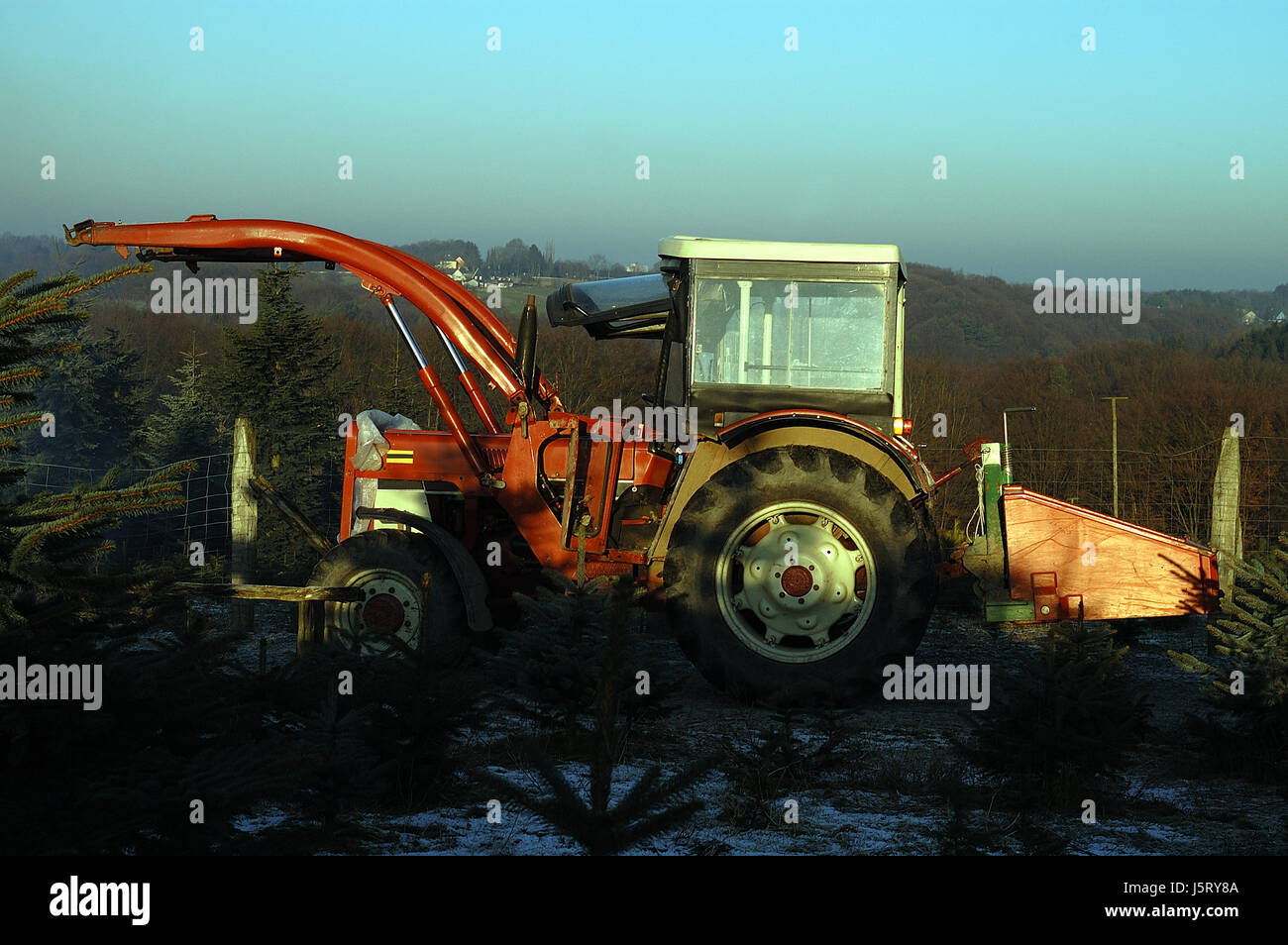 agriculture farming tractor tractors tree nursery tree agriculture farming firs Stock Photo