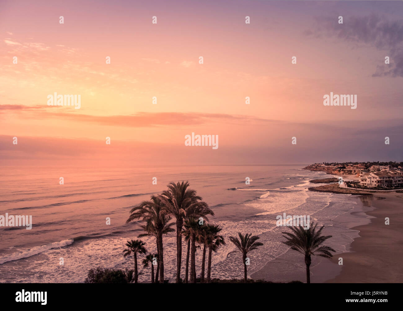 Palm trees by the ocean at sunrise, Spain Stock Photo