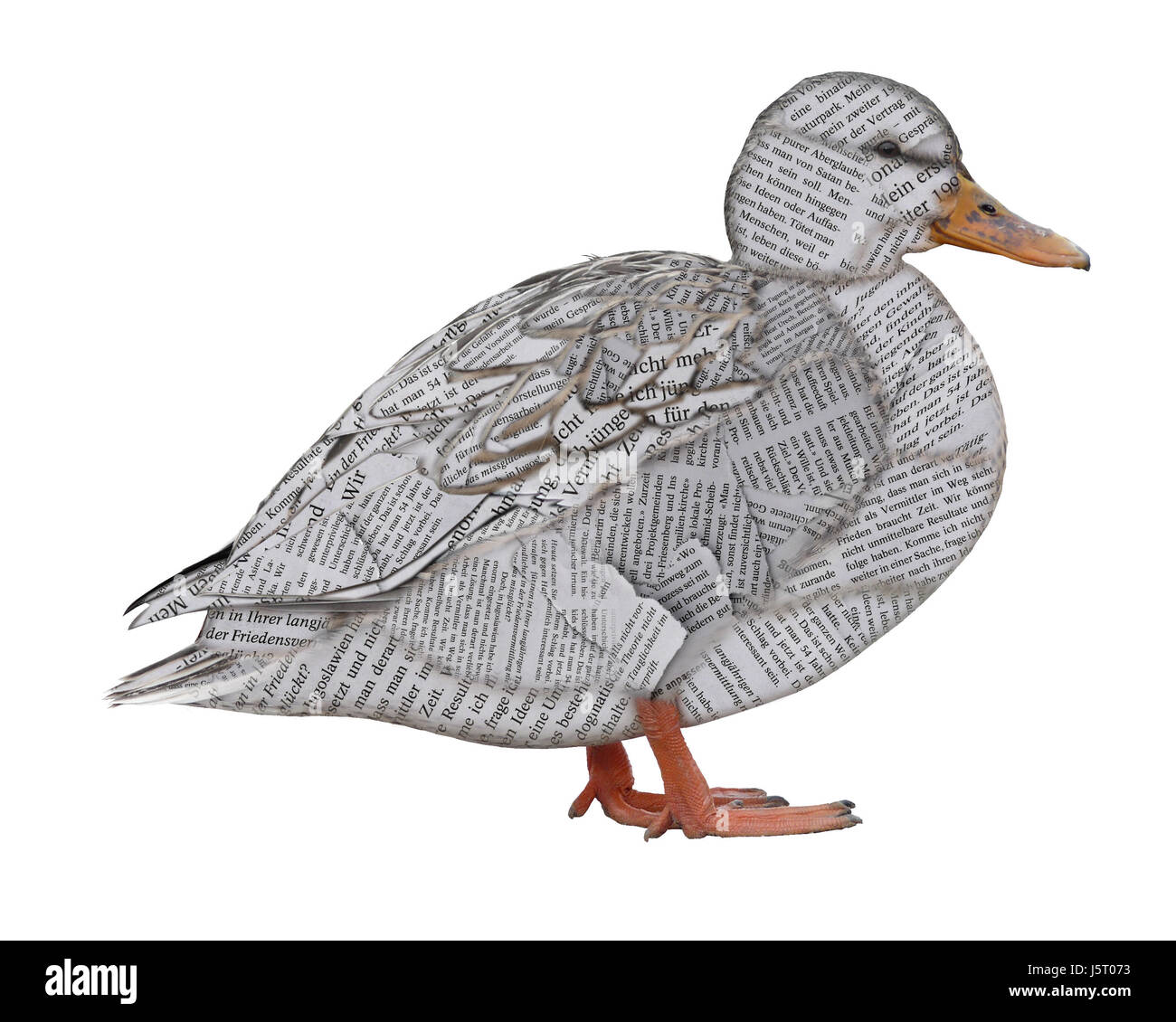 Newspaper Toy Duck Has Been Made Background, Paper Duck Picture