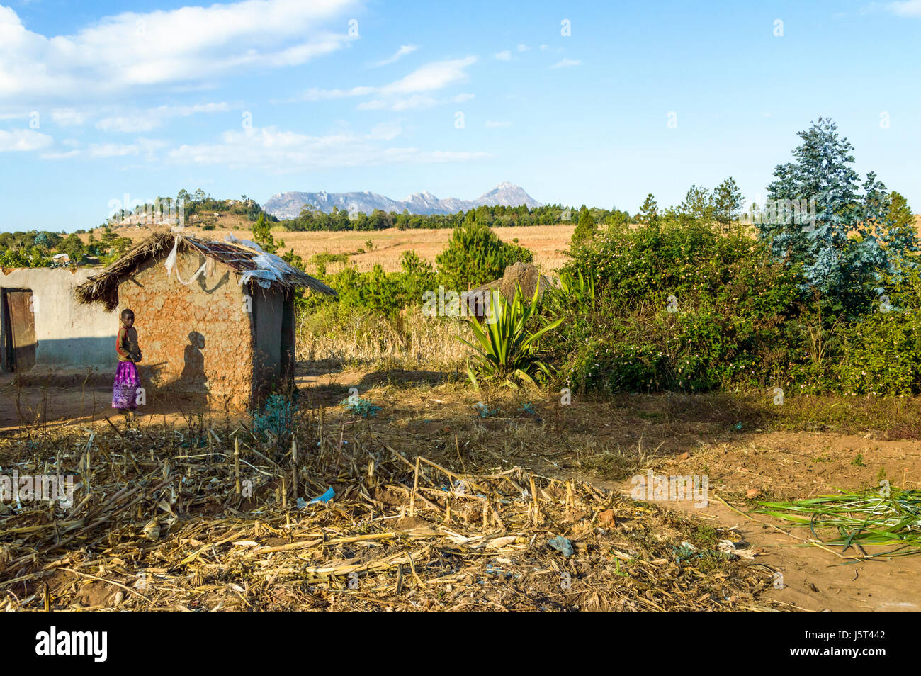 Girl stands outside traditionally built grass thatched mud hut over pit latrine in a rural village in Malawi, Africa Stock Photo