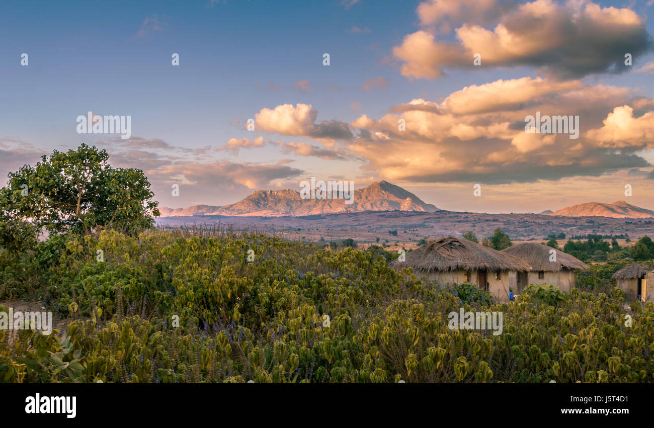 Traditional village housing, mud huts with grass roofs, in rural Malawi, Africa Stock Photo