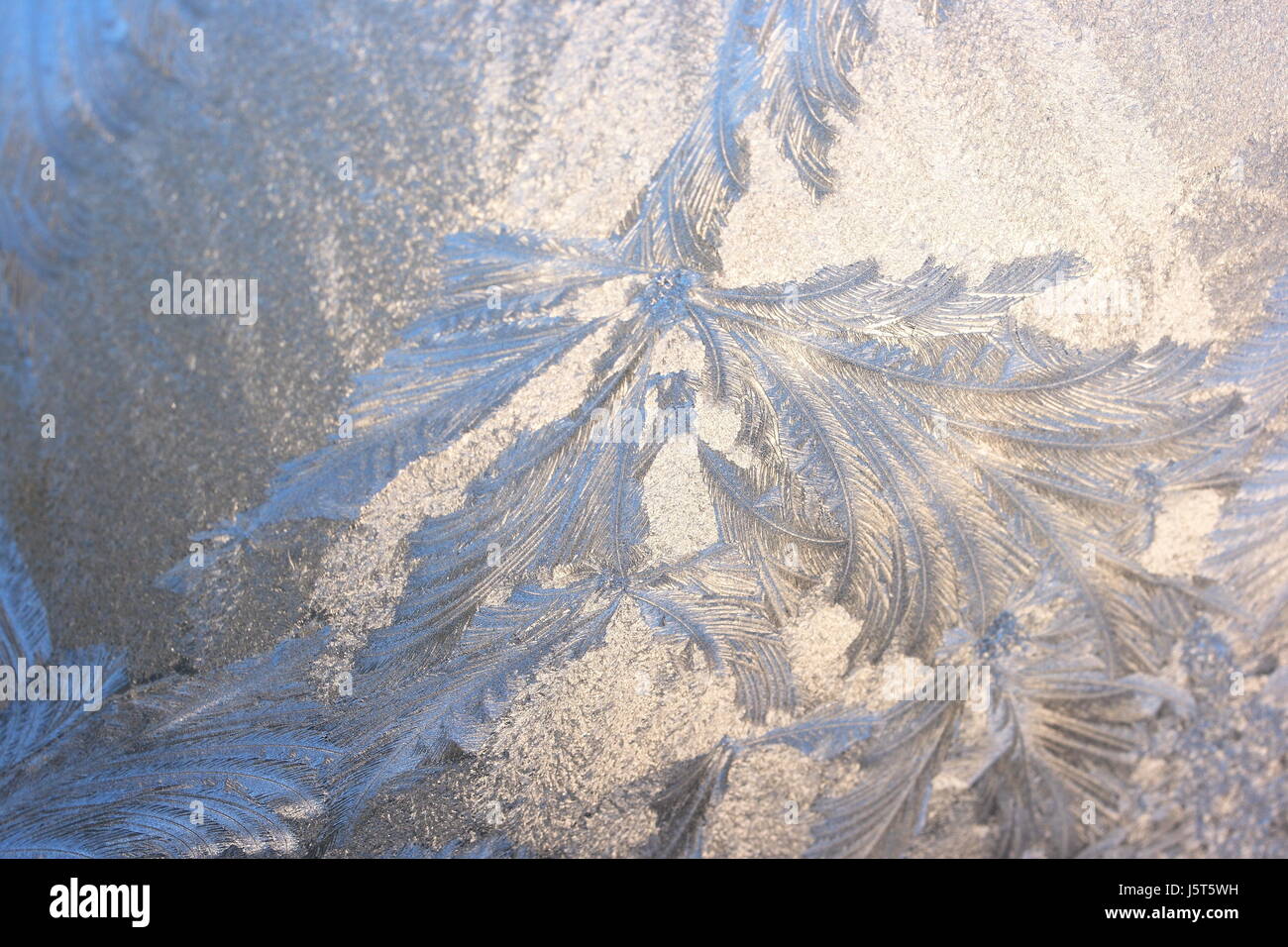 winter cold ice frost frost work symbol picture blue glass chalice ...