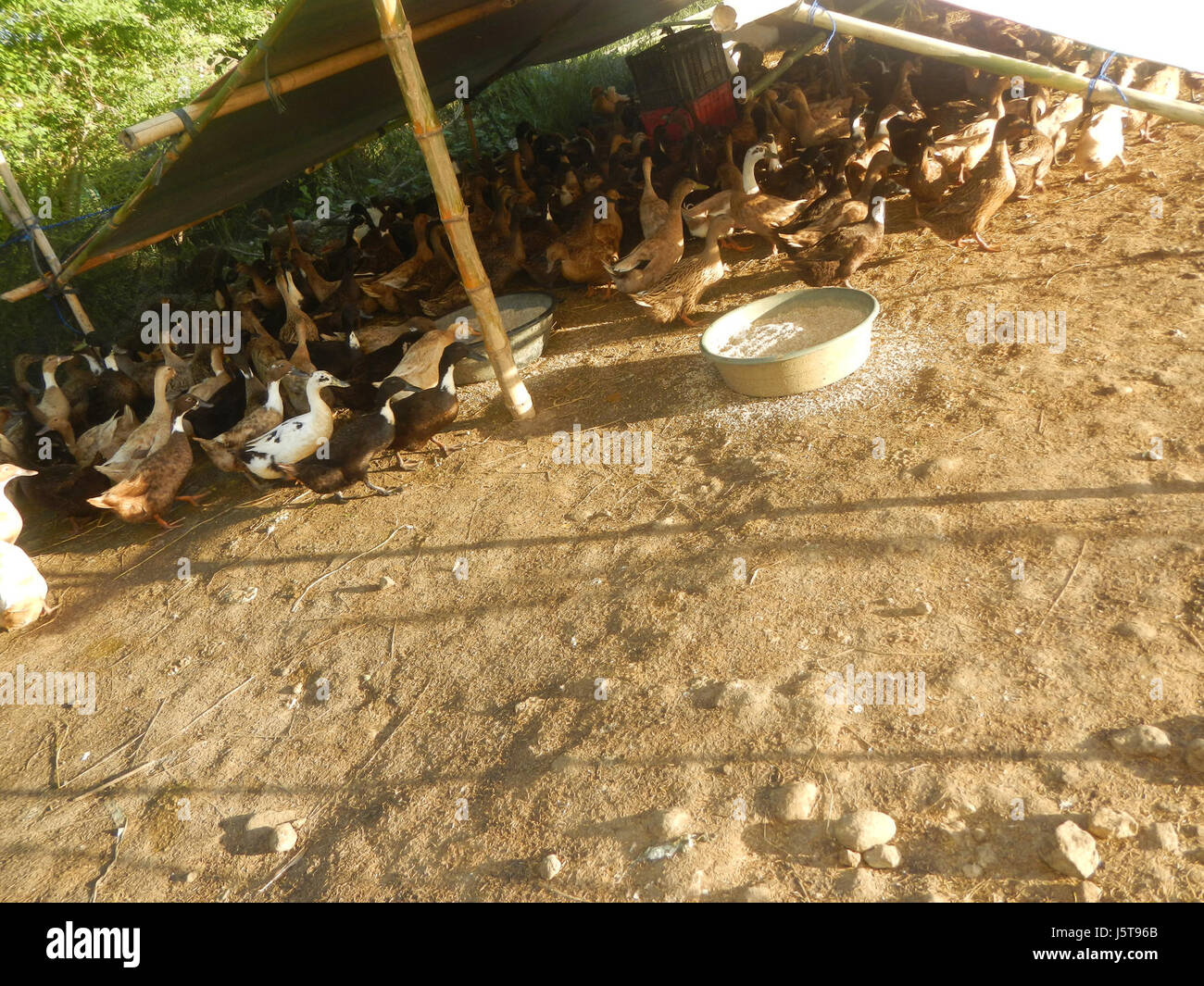 This entry describes the rural landscape along Cortez Road in ...