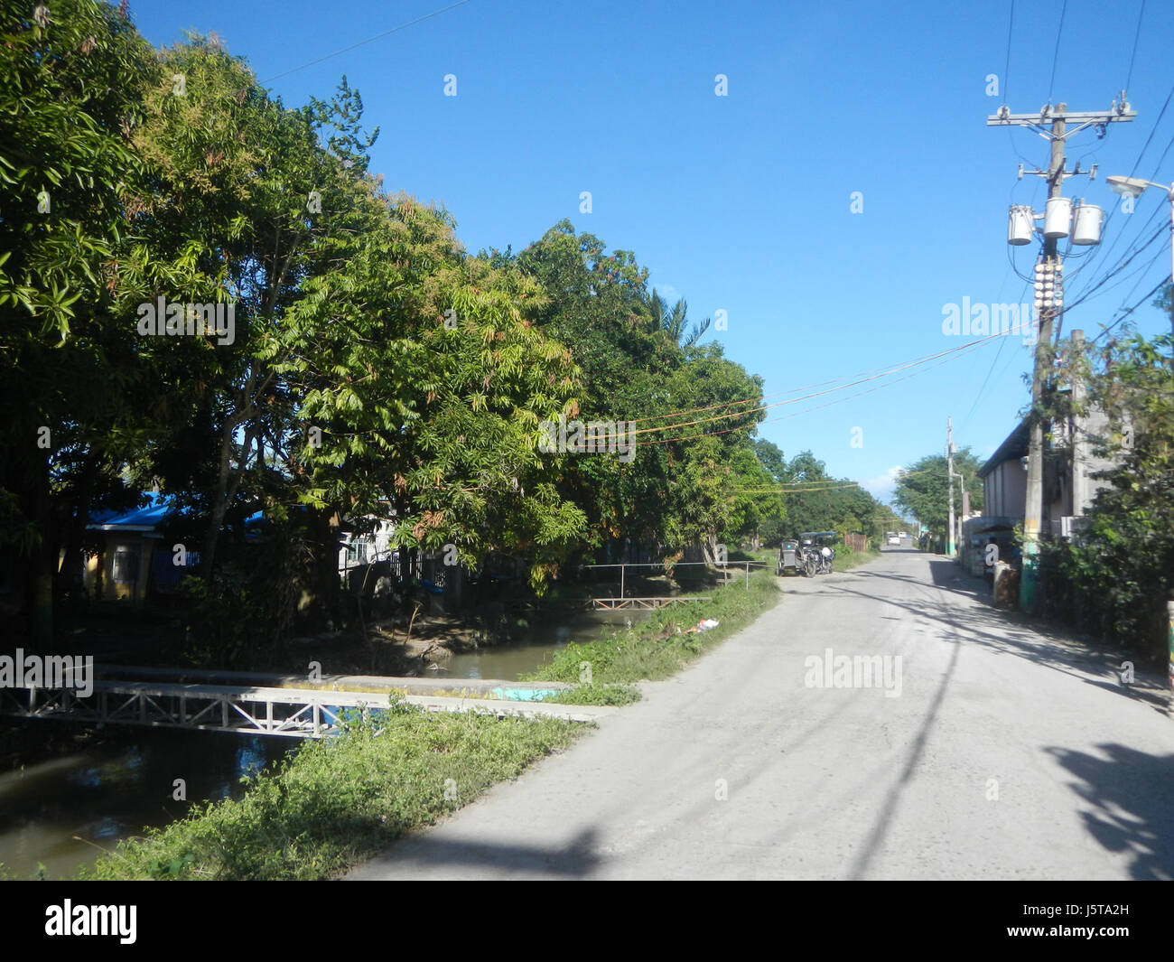 0226 Paddy fields trees irrigation Bantog San Miguel Bulacan Halls