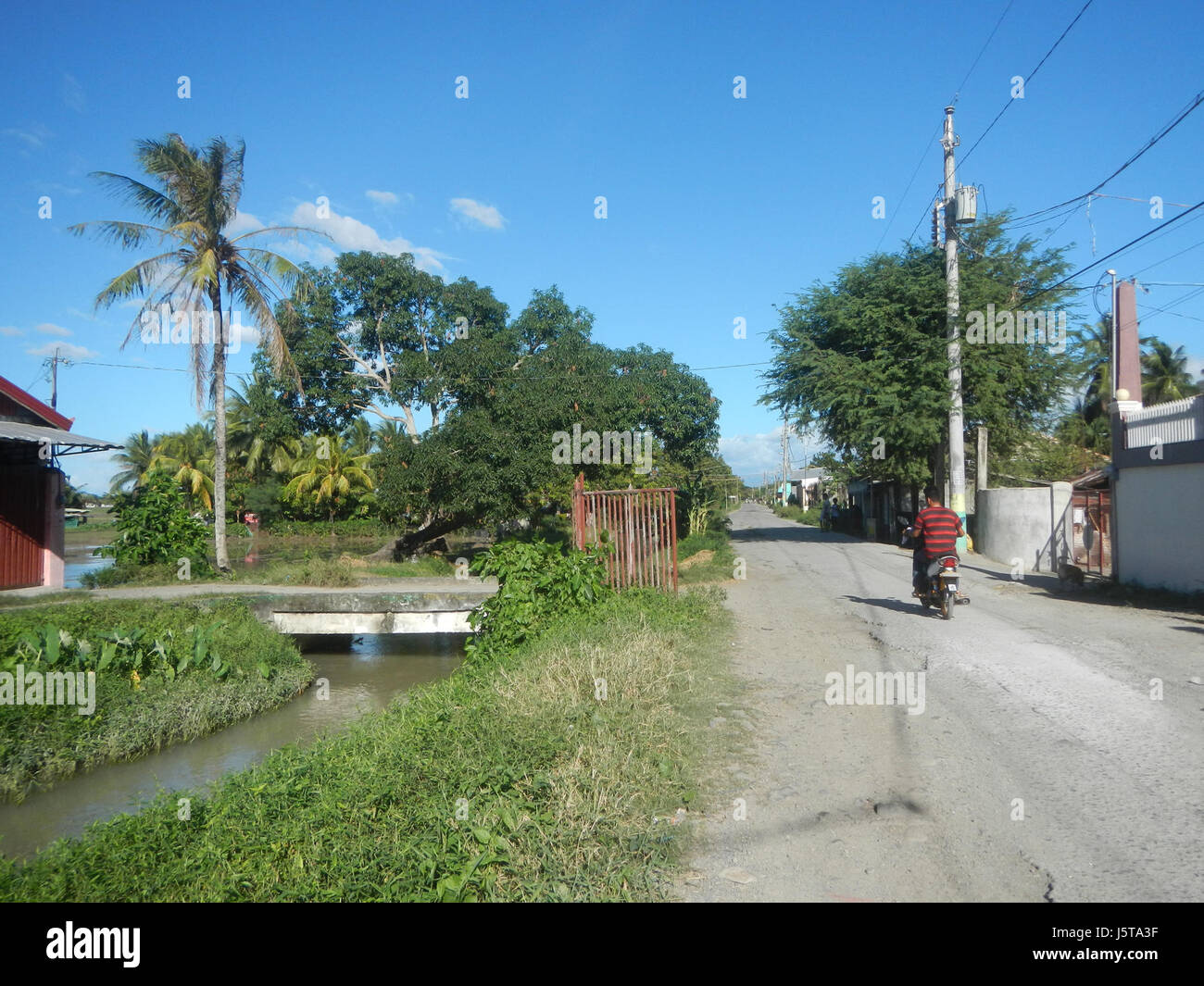 0251 Paddy fields trees irrigation Bantog San Miguel Bulacan Halls