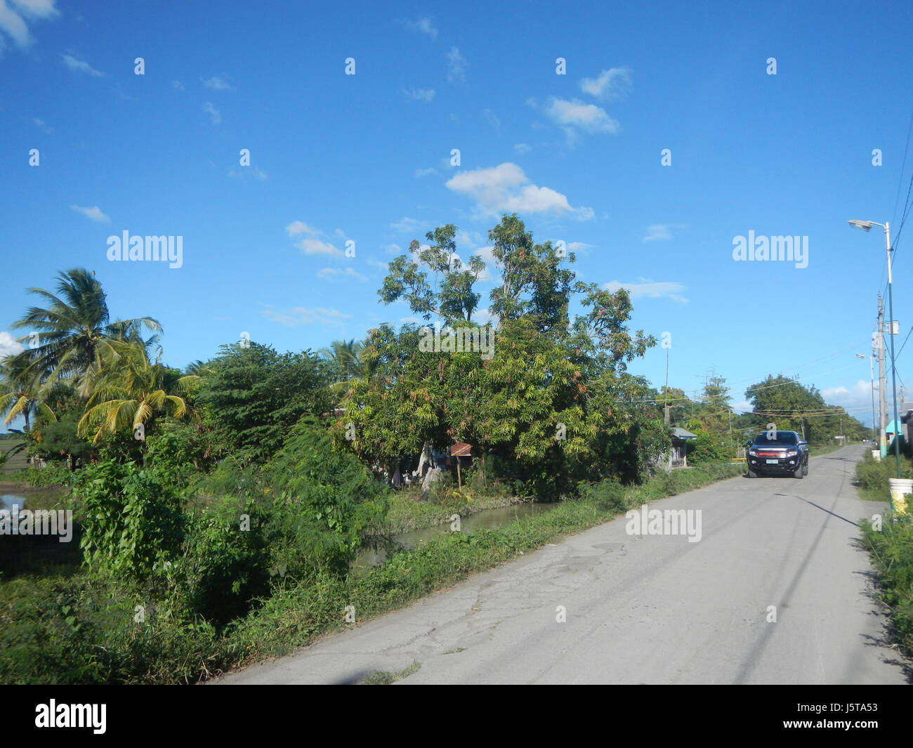 0276 Paddy fields trees irrigation Bantog San Miguel Bulacan Halls